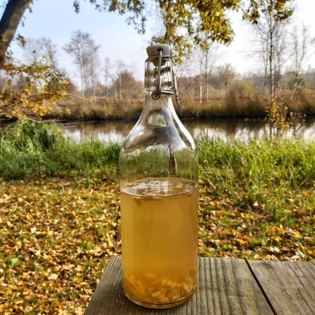 Workshop healthy drinks & limonades - Foto