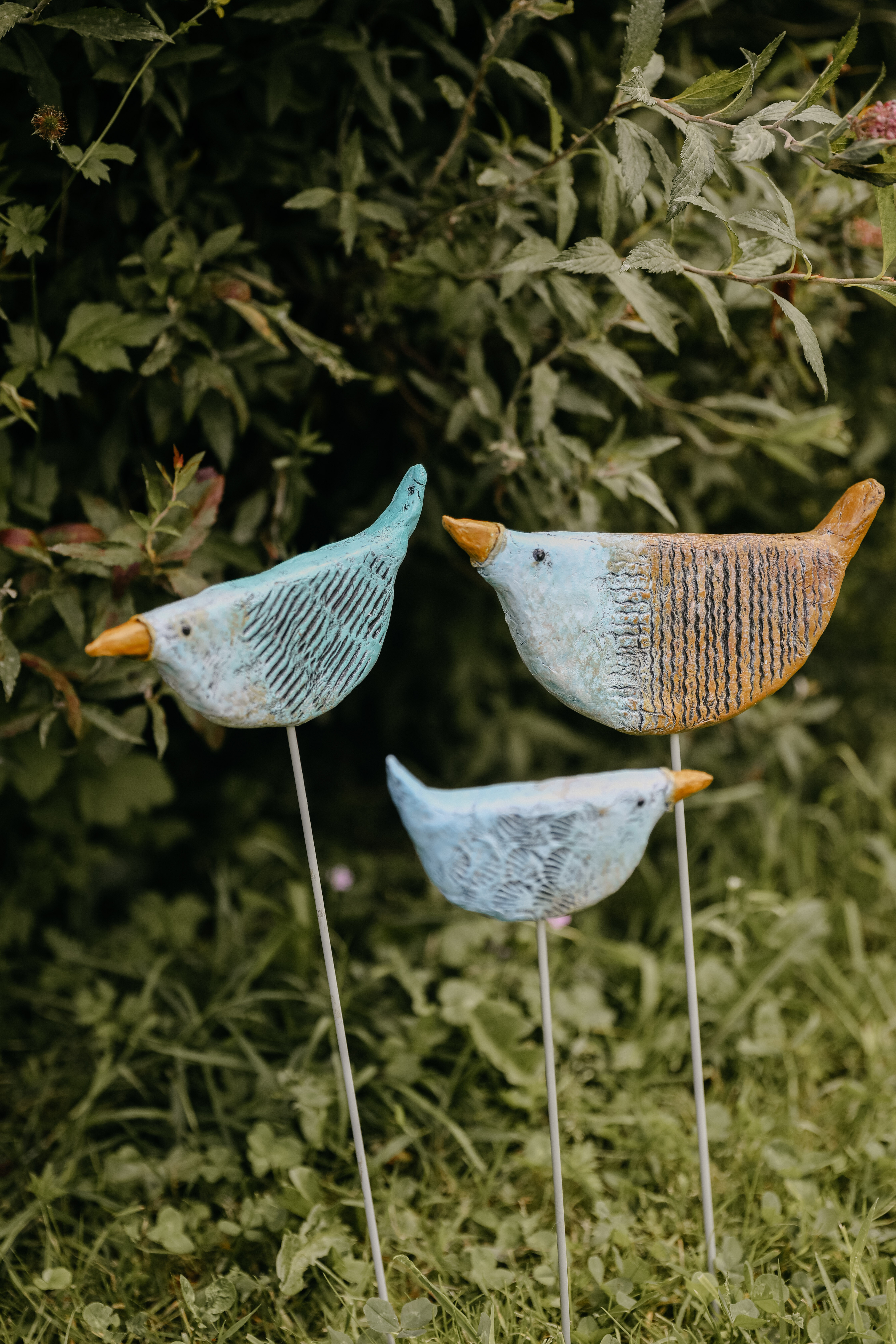 DIY Pakket Geelbekjes - Foto