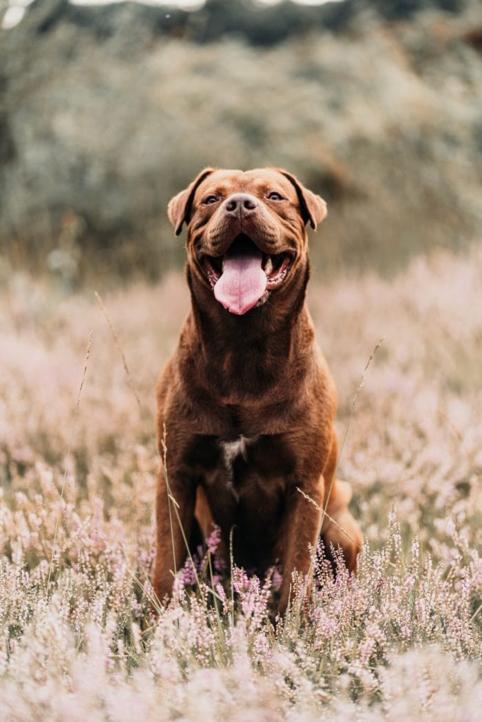 Online cursus basis fotografie - Foto