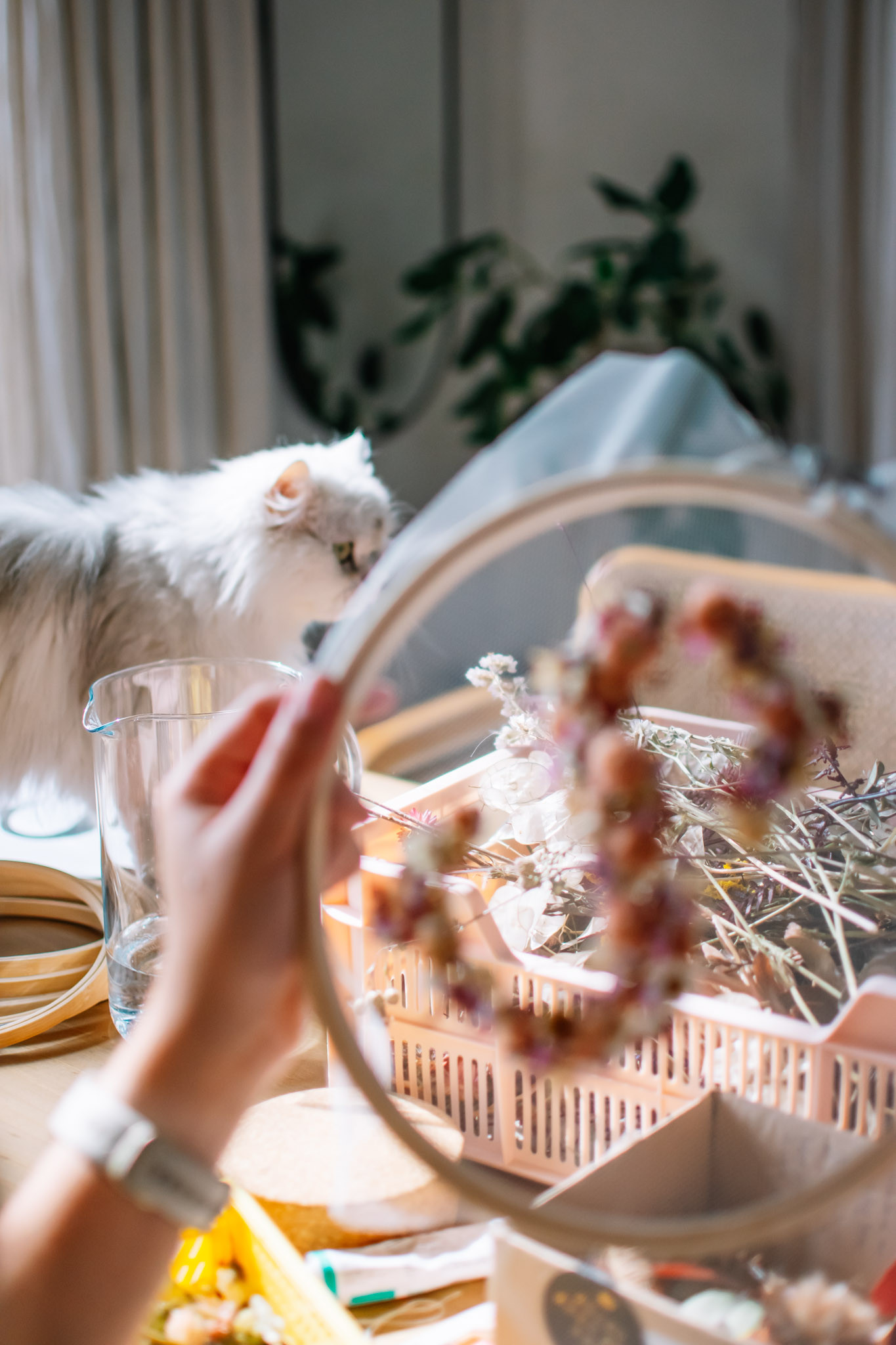 Dry Flower Embroidery Hoop 🌸 Workshop Box - Foto