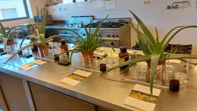 Van Aloë Vera tot natuurlijke lichaamsverzorging Workshop