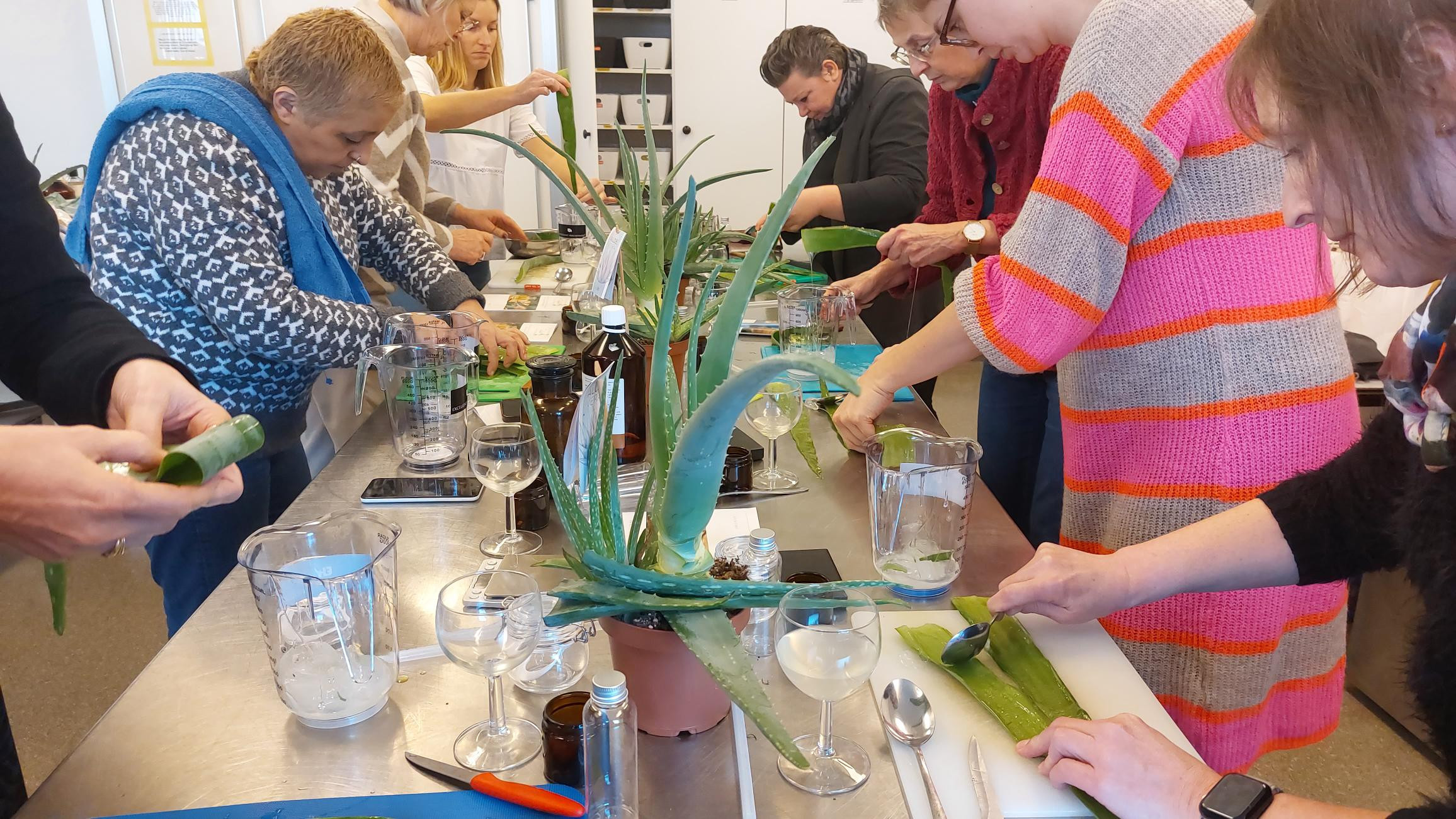 Van Aloë Vera tot natuurlijke lichaamsverzorging Workshop - Foto