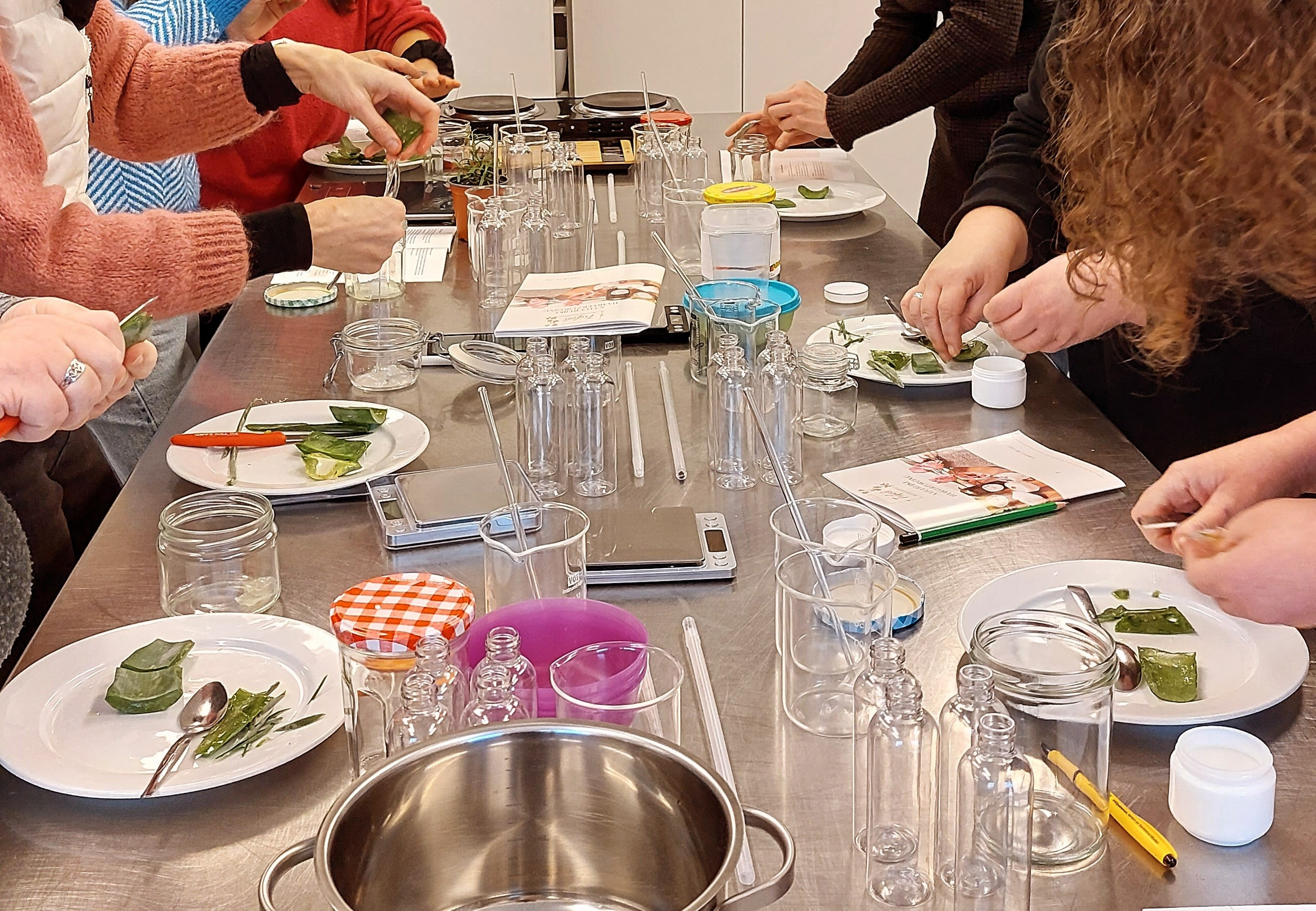 Van Aloë Vera tot natuurlijke lichaamsverzorging Workshop - Foto