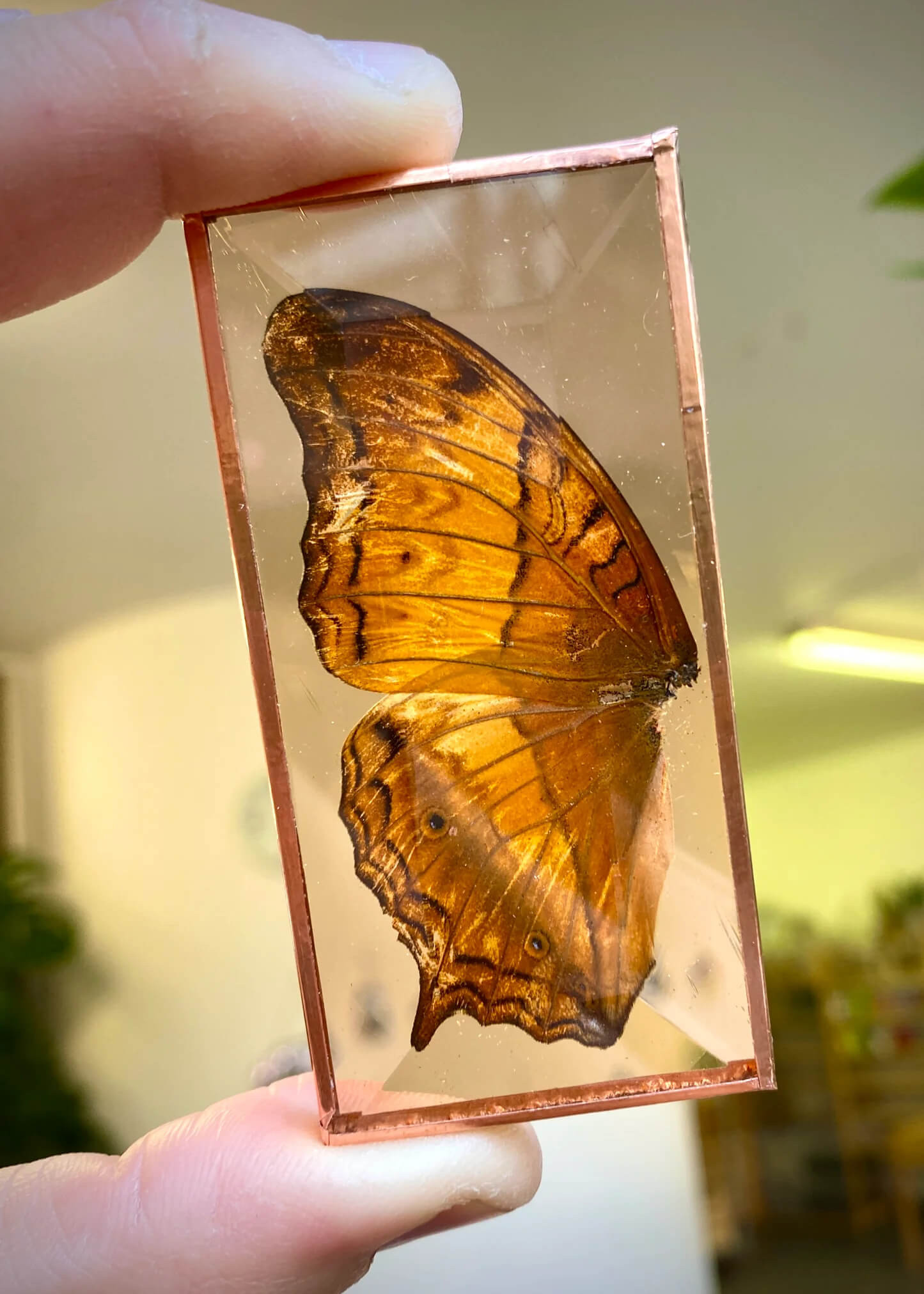 Workshop vlinders in glas-in-lood - Foto