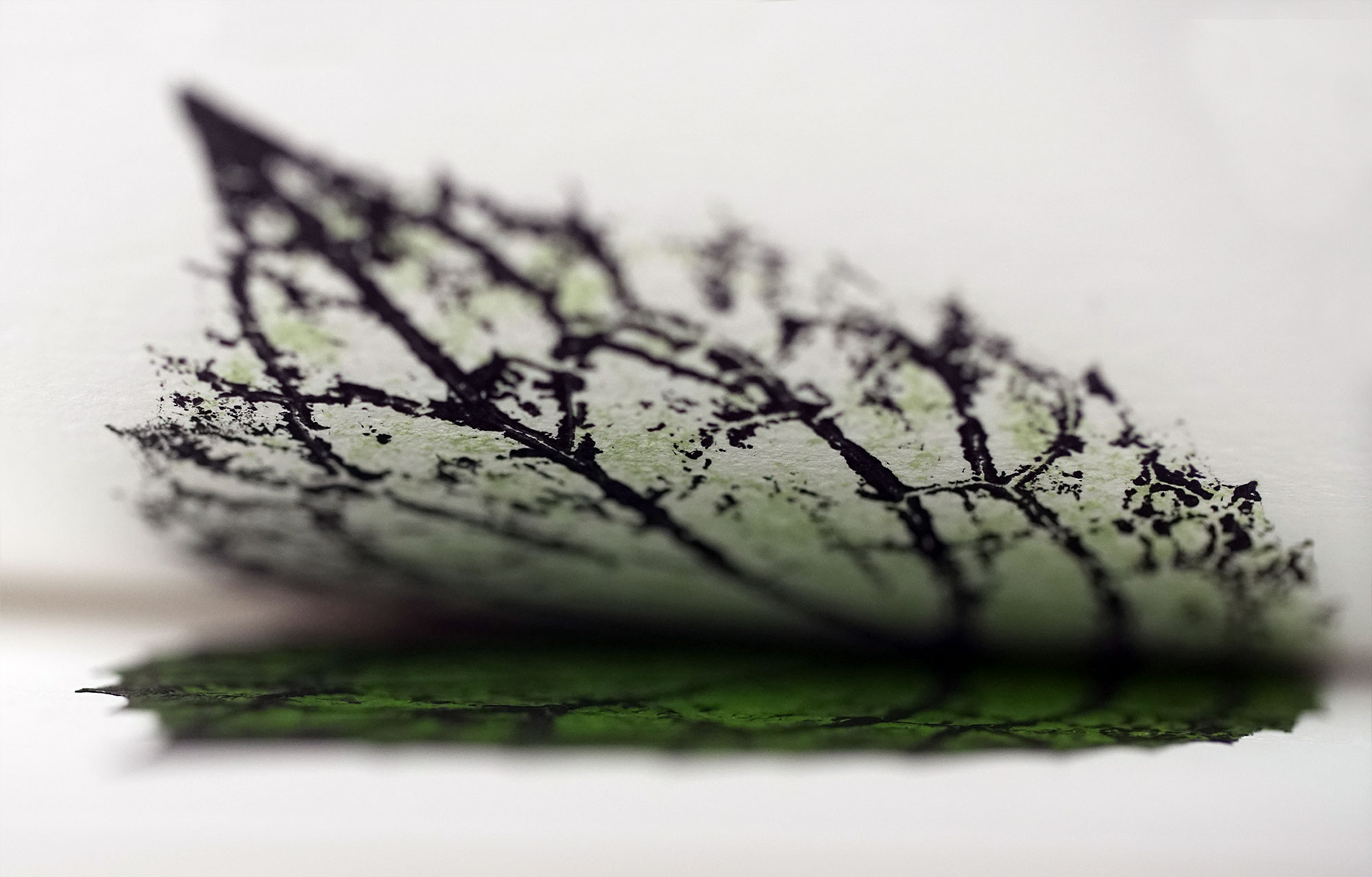 Workshop plantdruk - Schoonheid zit in onze natuur