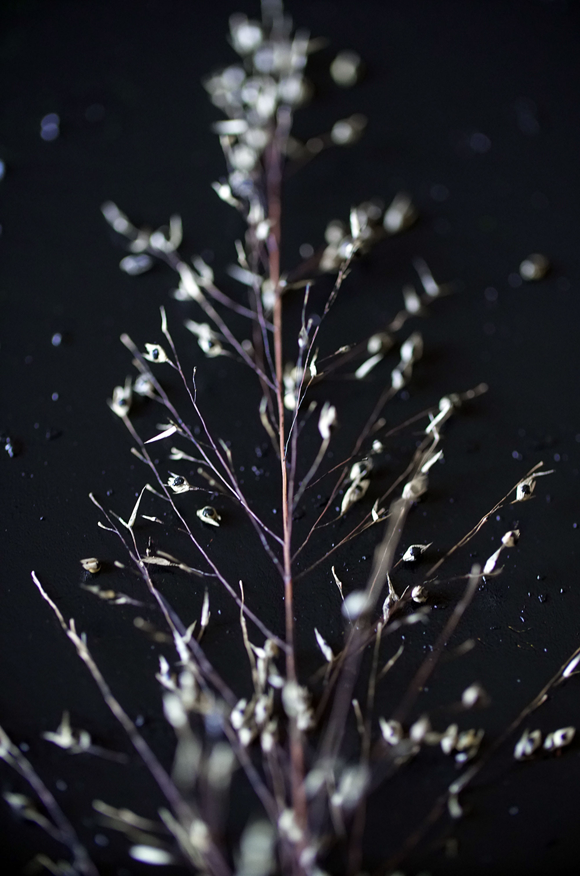 Workshop plantdruk - Schoonheid zit in onze natuur - Foto