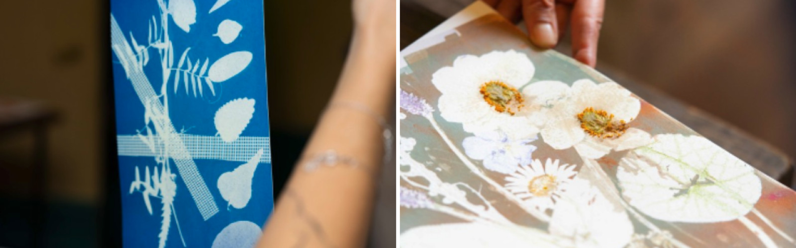 Blauwdruk kunst en botanical printing