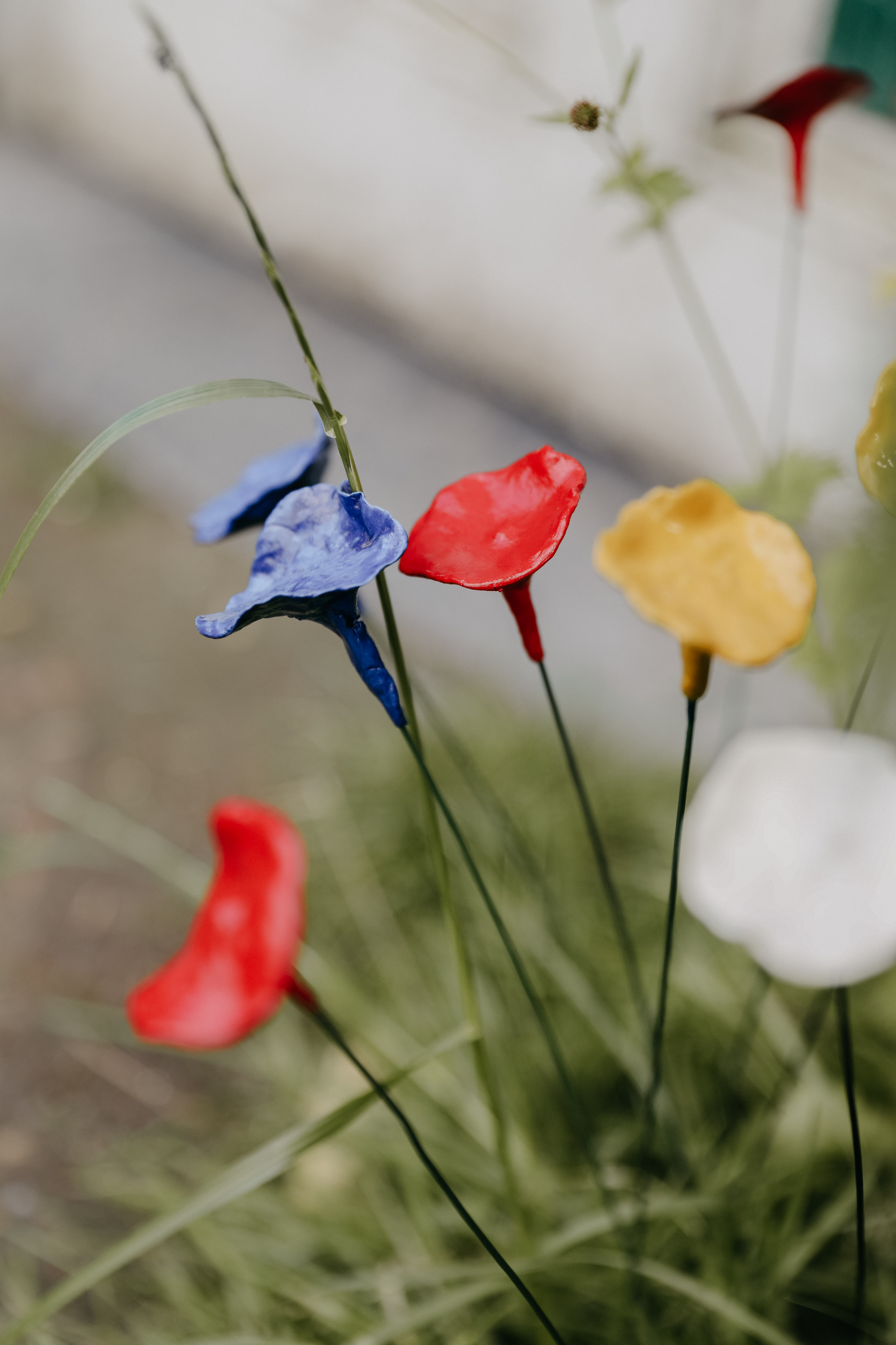DIY bloemetjes & klaprozen - Foto