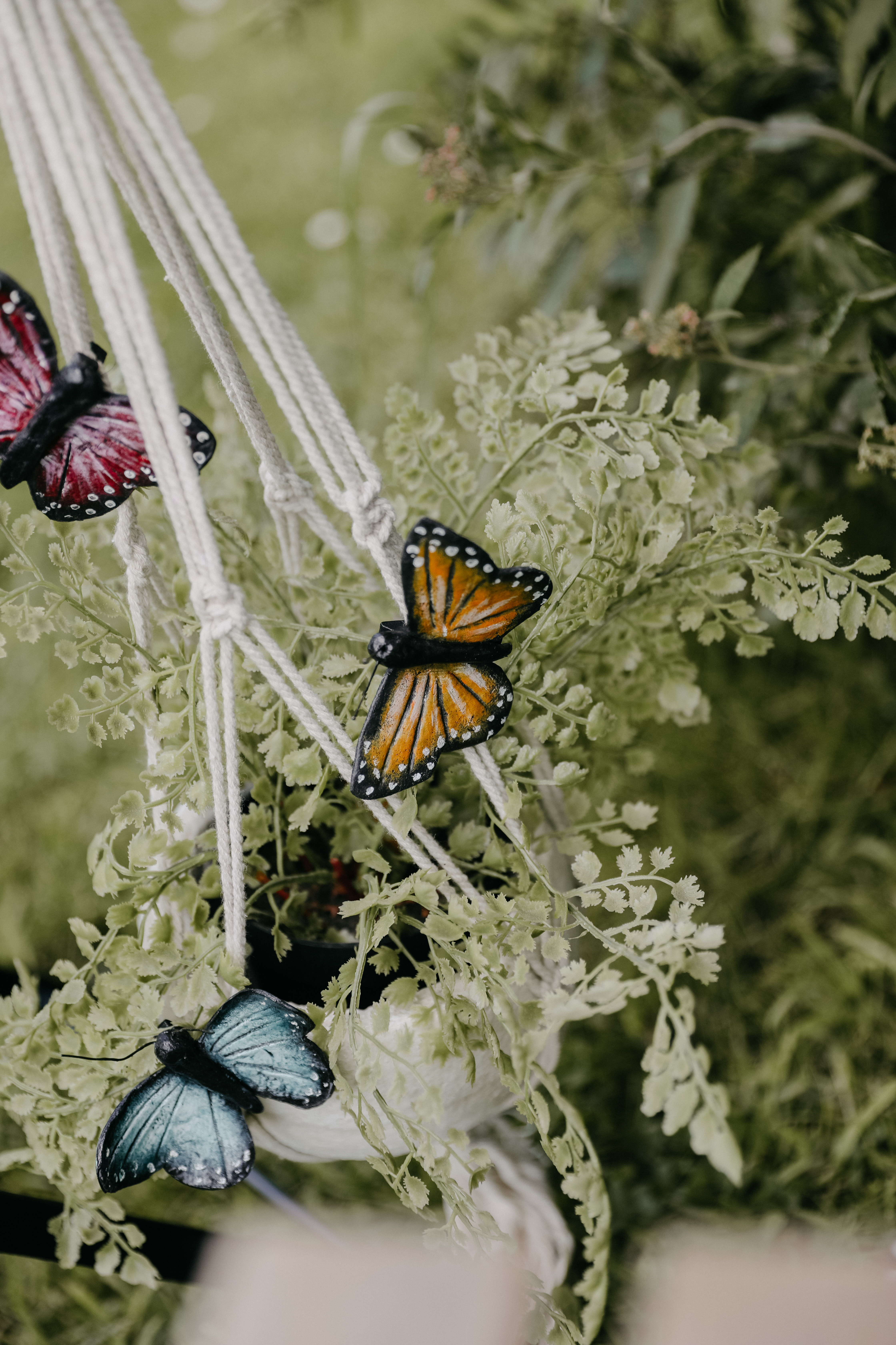 DIY pakket vlinders - Foto