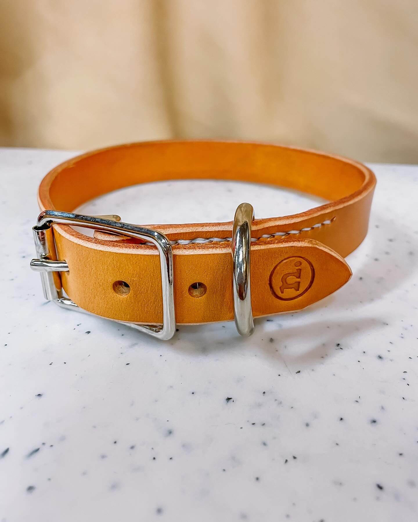 Workshop lederen hondenhalsband met bijpassende riem - Foto