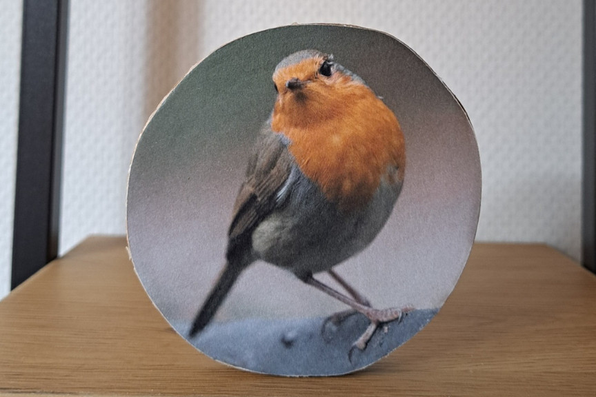 DIY pakket foto op hout - Foto