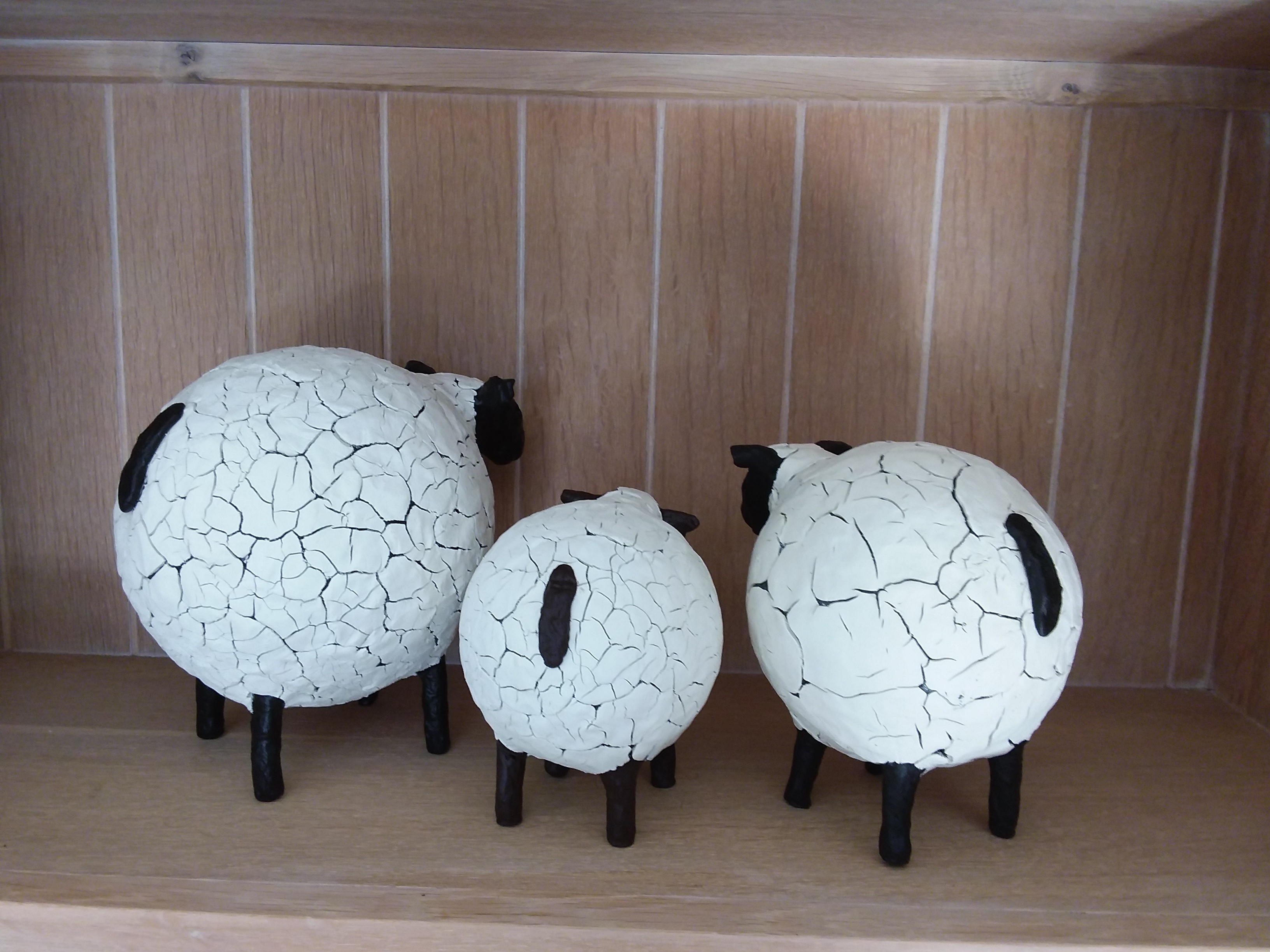 DIY Pakket 'schaapjes dikke kontjes' - Foto