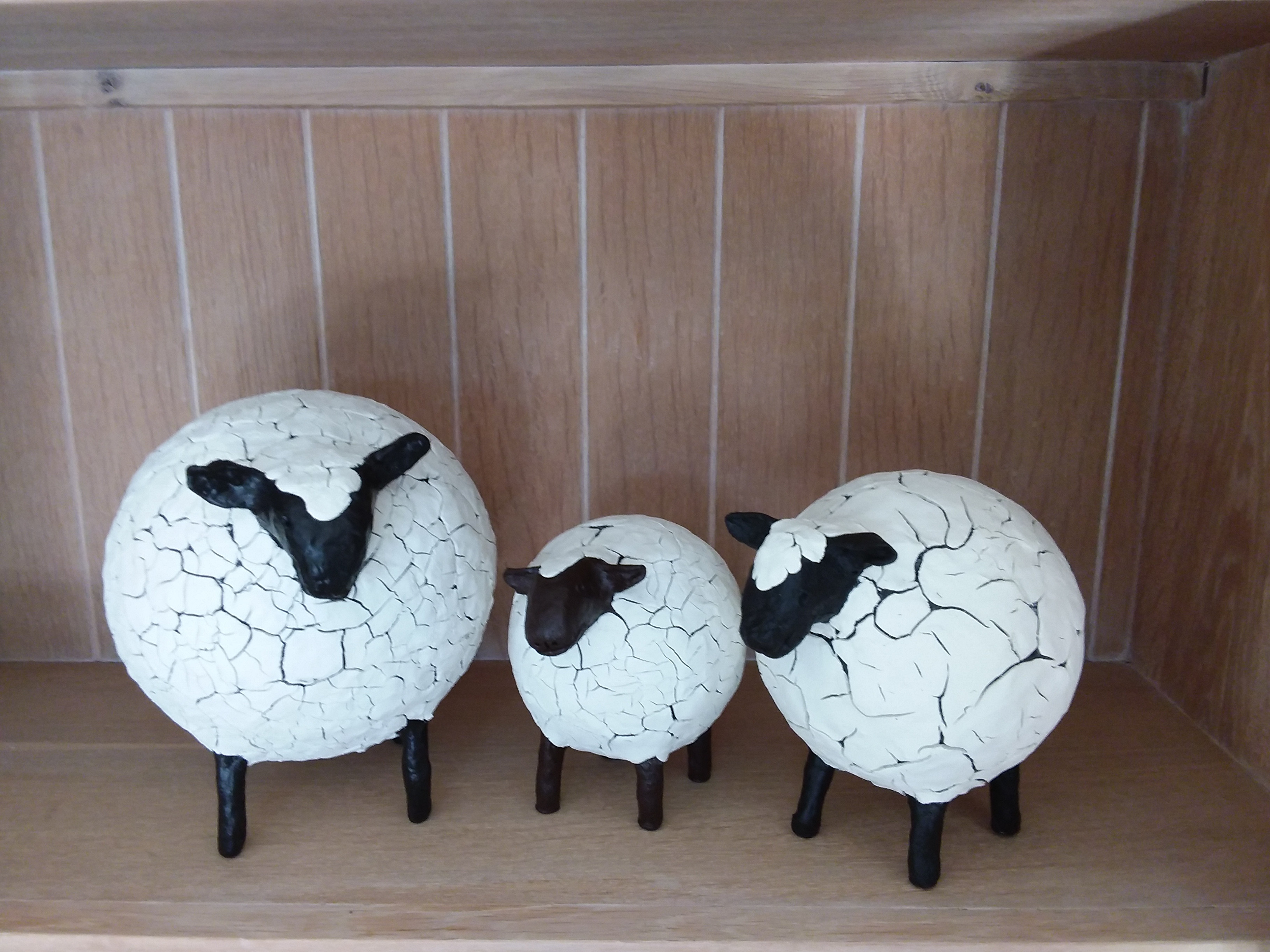 DIY Pakket 'schaapjes dikke kontjes' - Foto