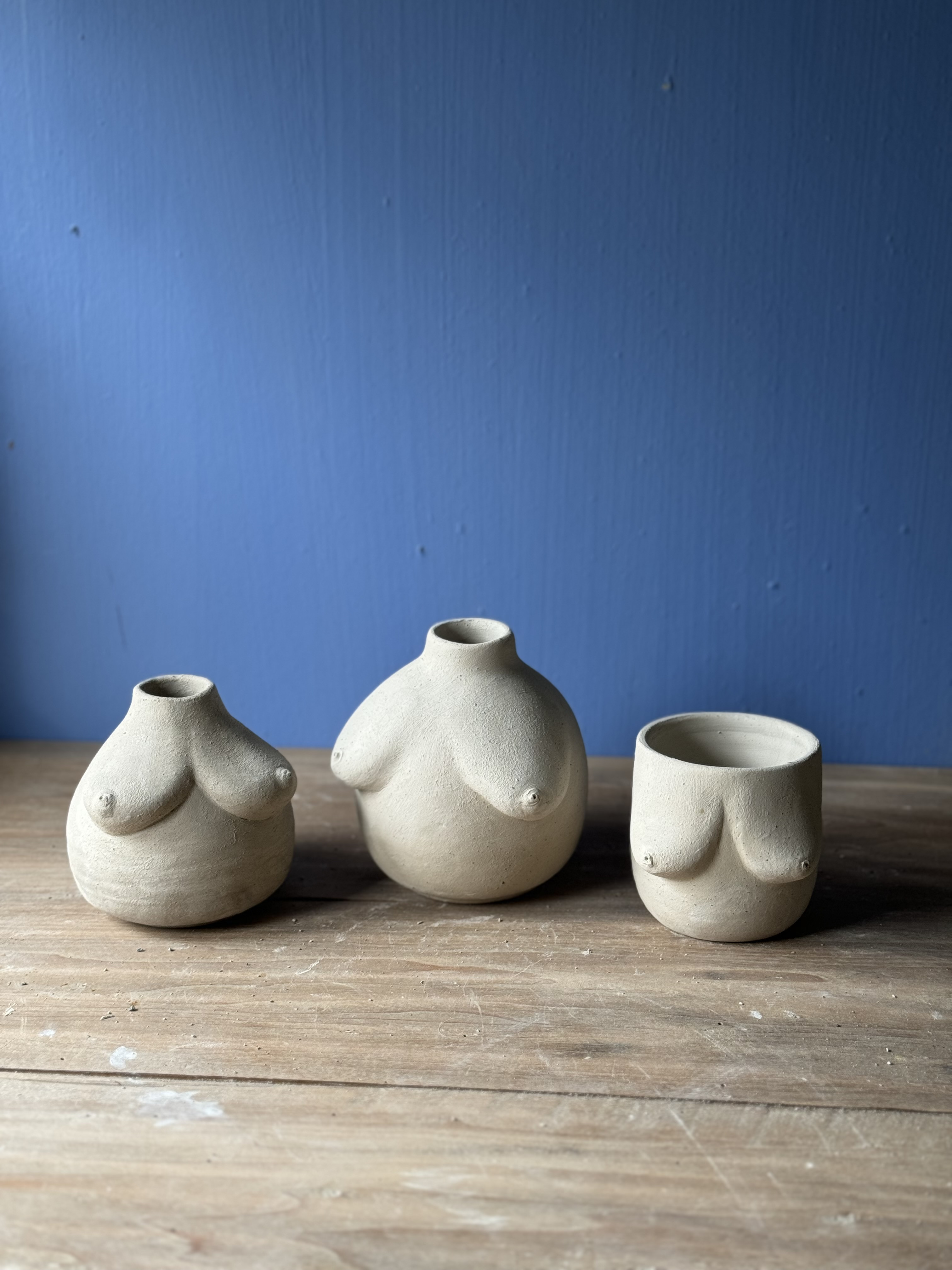 Curves & Clay: borsten tas (keramiek) - Foto