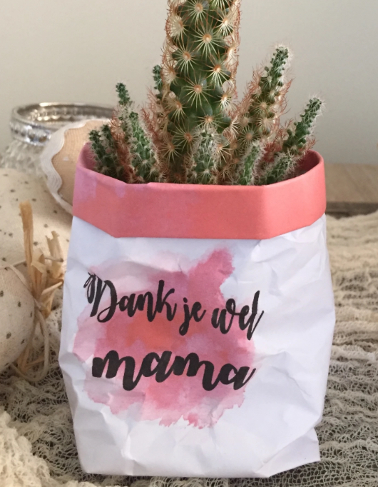 Walk-in "Paperbaggies"