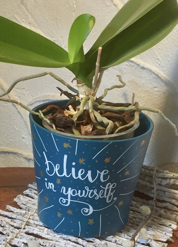 Walk-in "Bloempotjes handletteren" - Foto