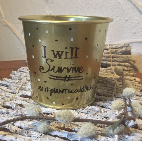 Walk-in "Bloempotjes handletteren" - Foto