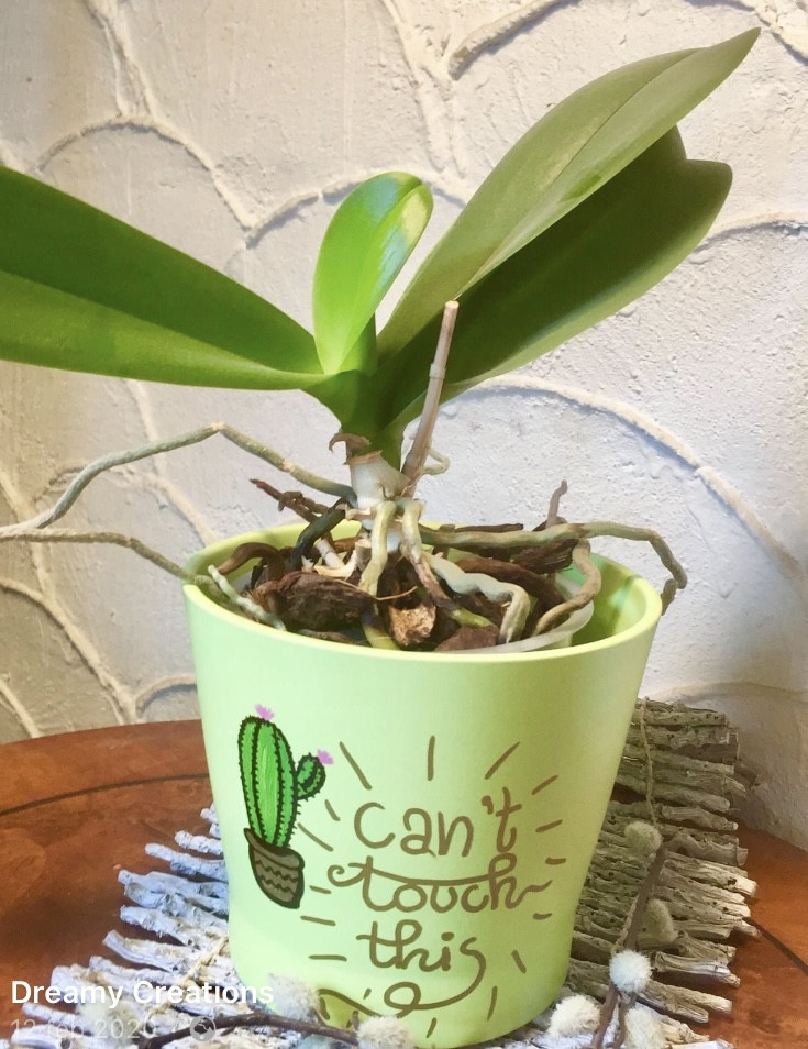 Walk-in "Bloempotjes handletteren" - Foto