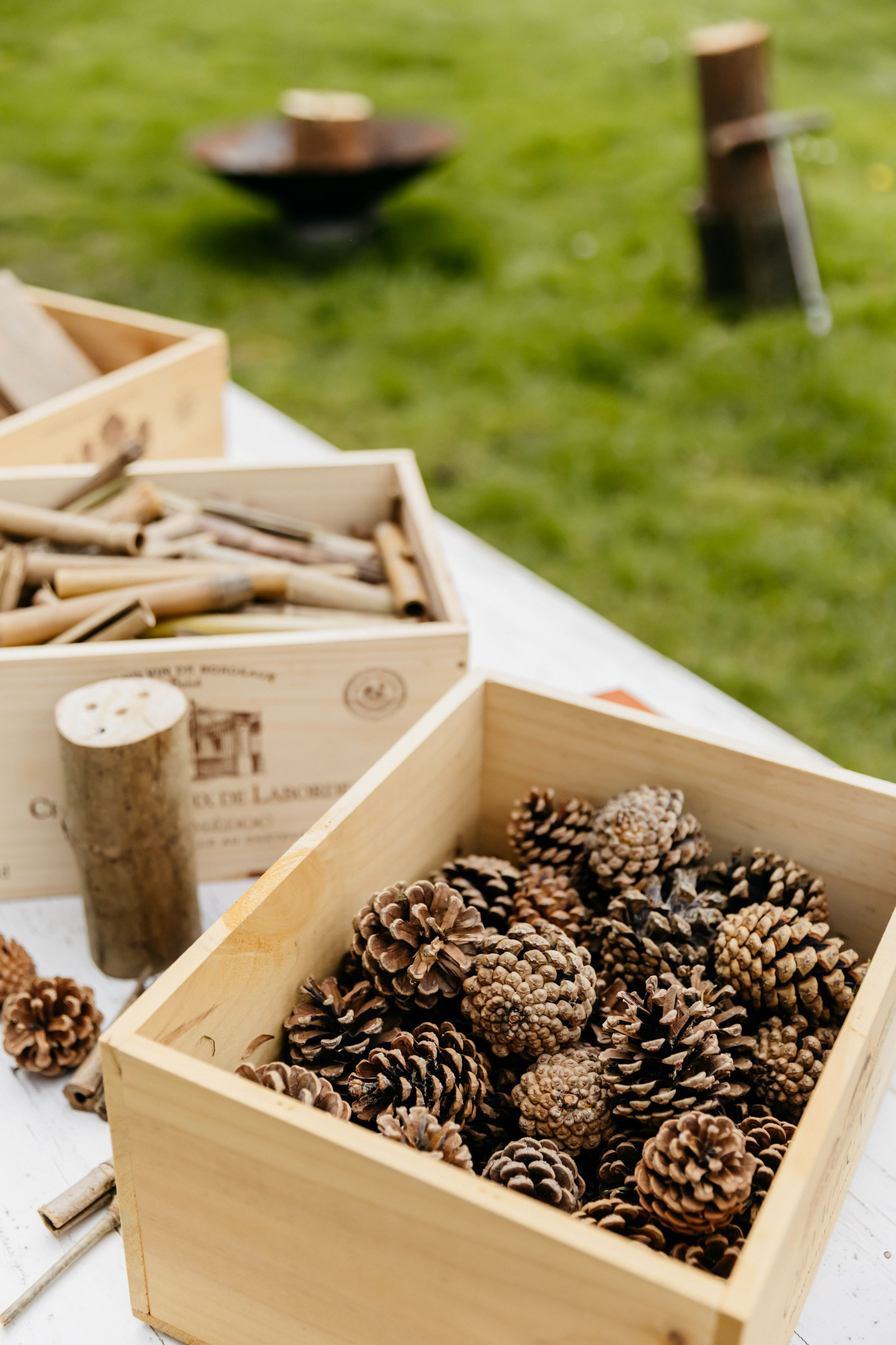 Bijenhotel walk in workshop - Foto