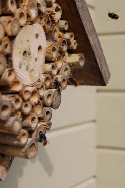 Bijenhotel walk in workshop - Foto