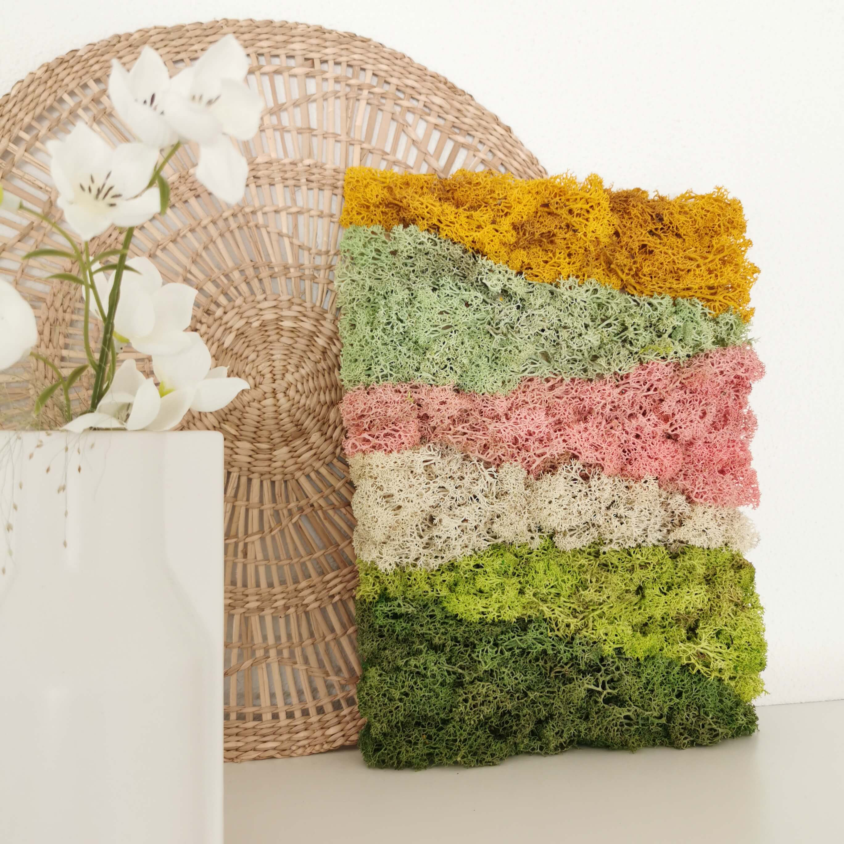 Workshop Moswand Maken - Foto