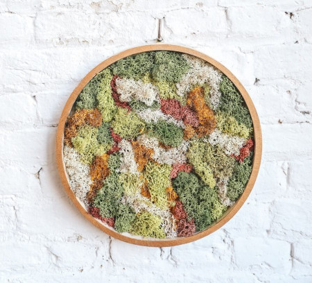 Workshop Moswand Maken 🌿