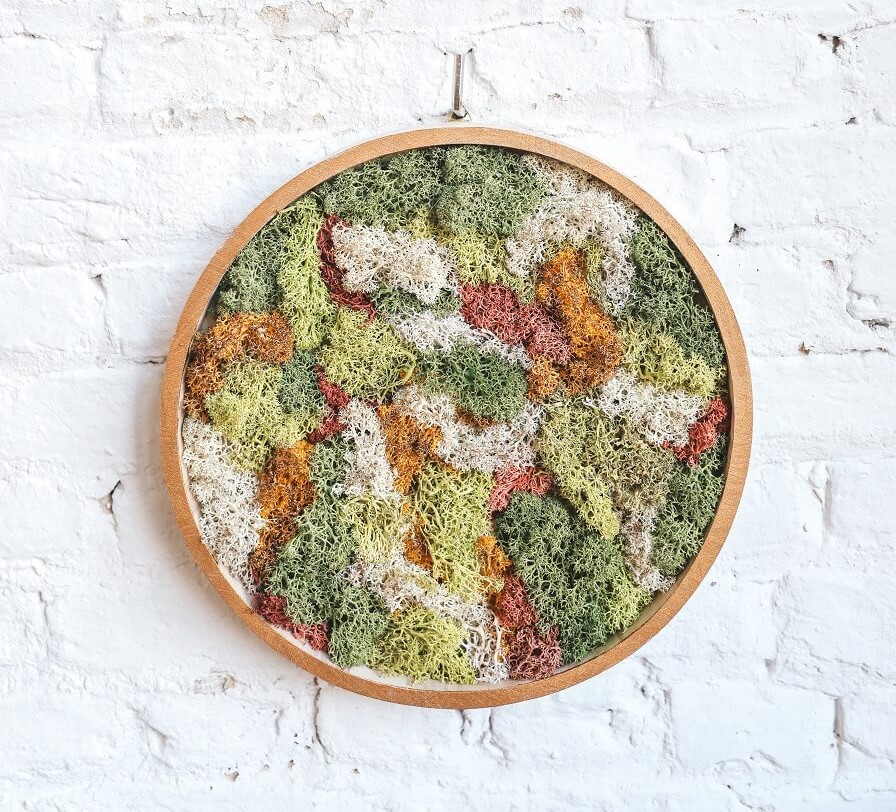 Workshop Moswand Maken 🌿