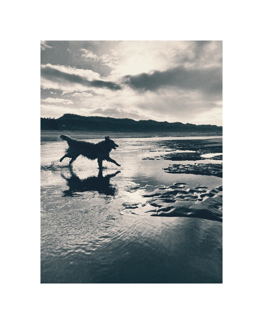 Smartphone fotografie - online workshop - Foto