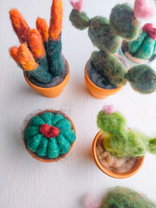 DIY Project: Planten Vilten