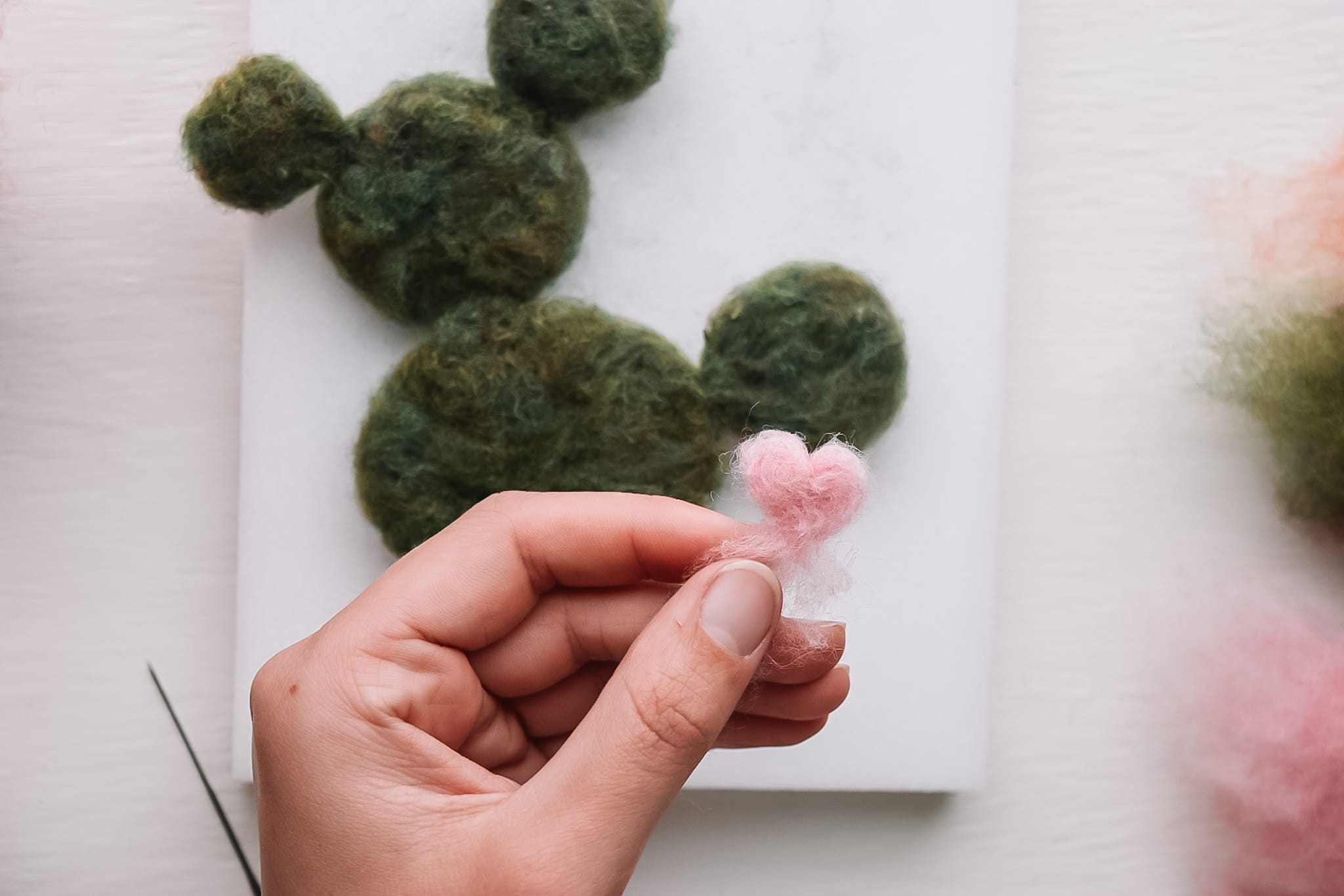 DIY Project: Planten Vilten - Foto