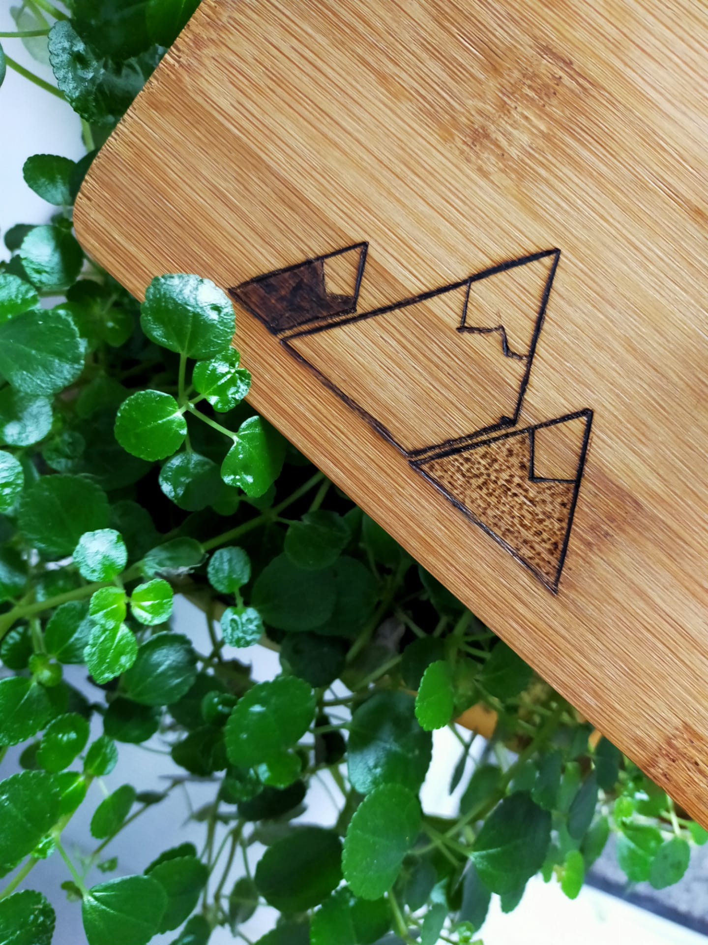 Workshop houtbranden walk-in voor events - Foto