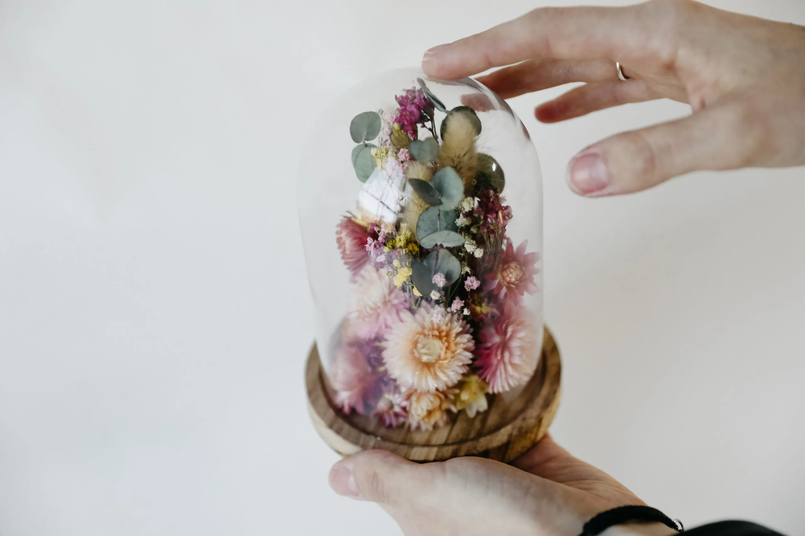 DIY pakket droogbloemen stolp
