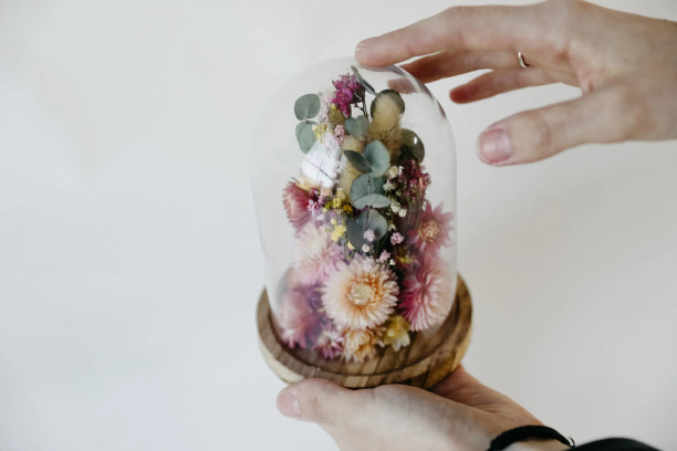 DIY pakket droogbloemen stolp