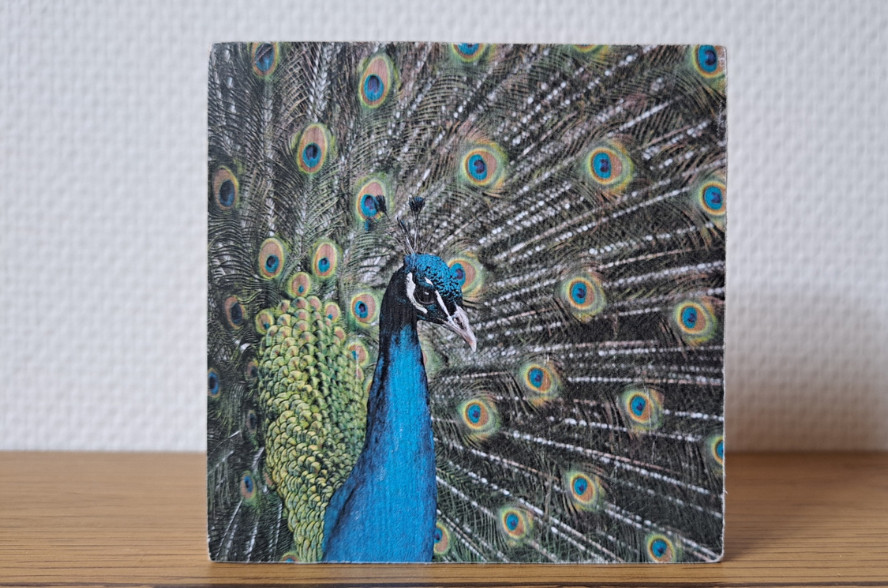 DIY pakket foto transfer houten onderzetters - Foto