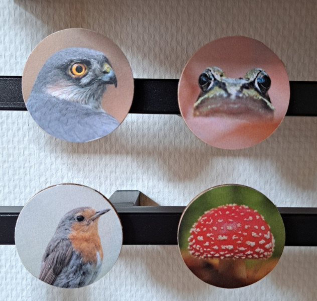 DIY pakket foto transfer houten onderzetters - Foto
