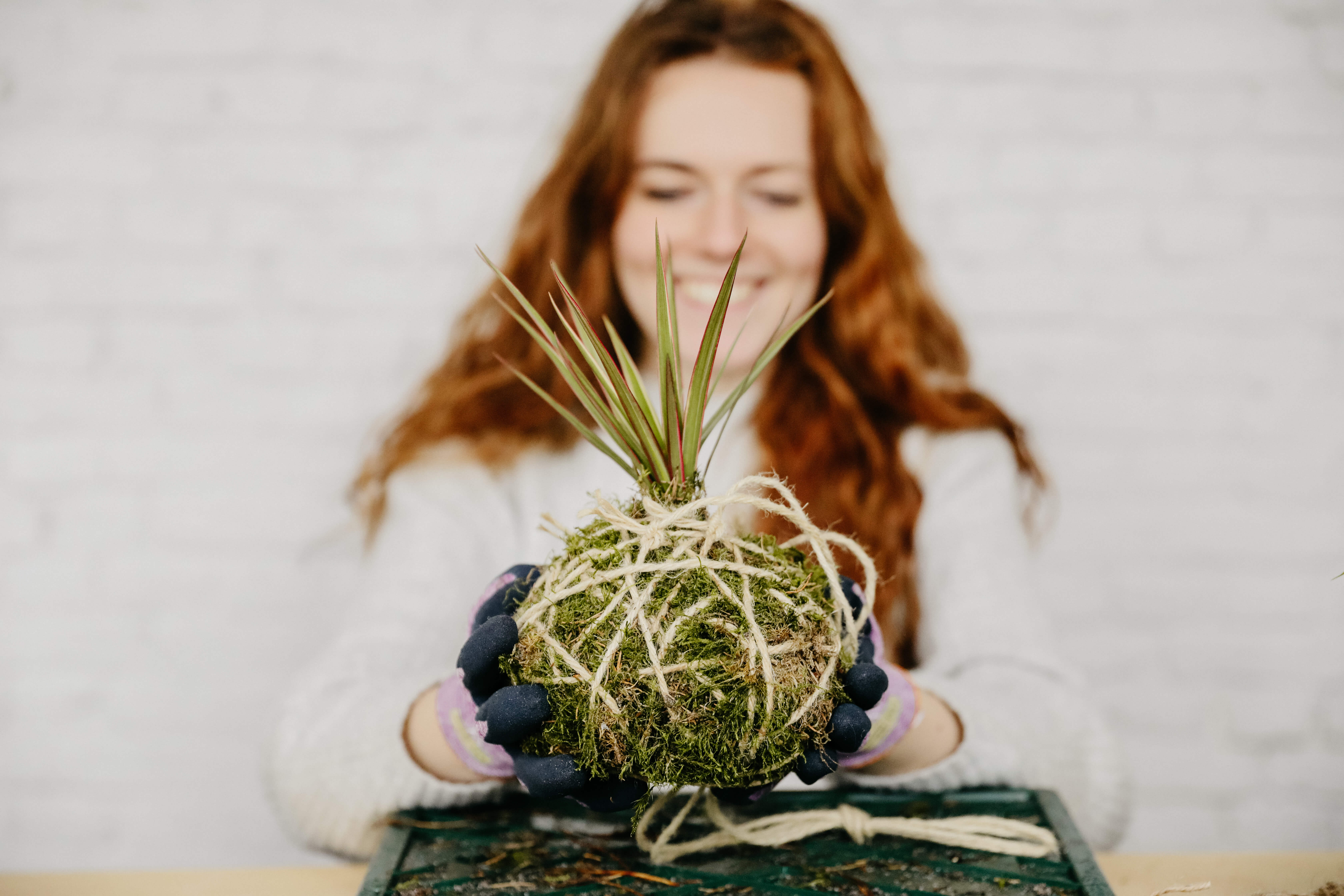 🌿 Kokedama Workshop – Teambuilding Editie