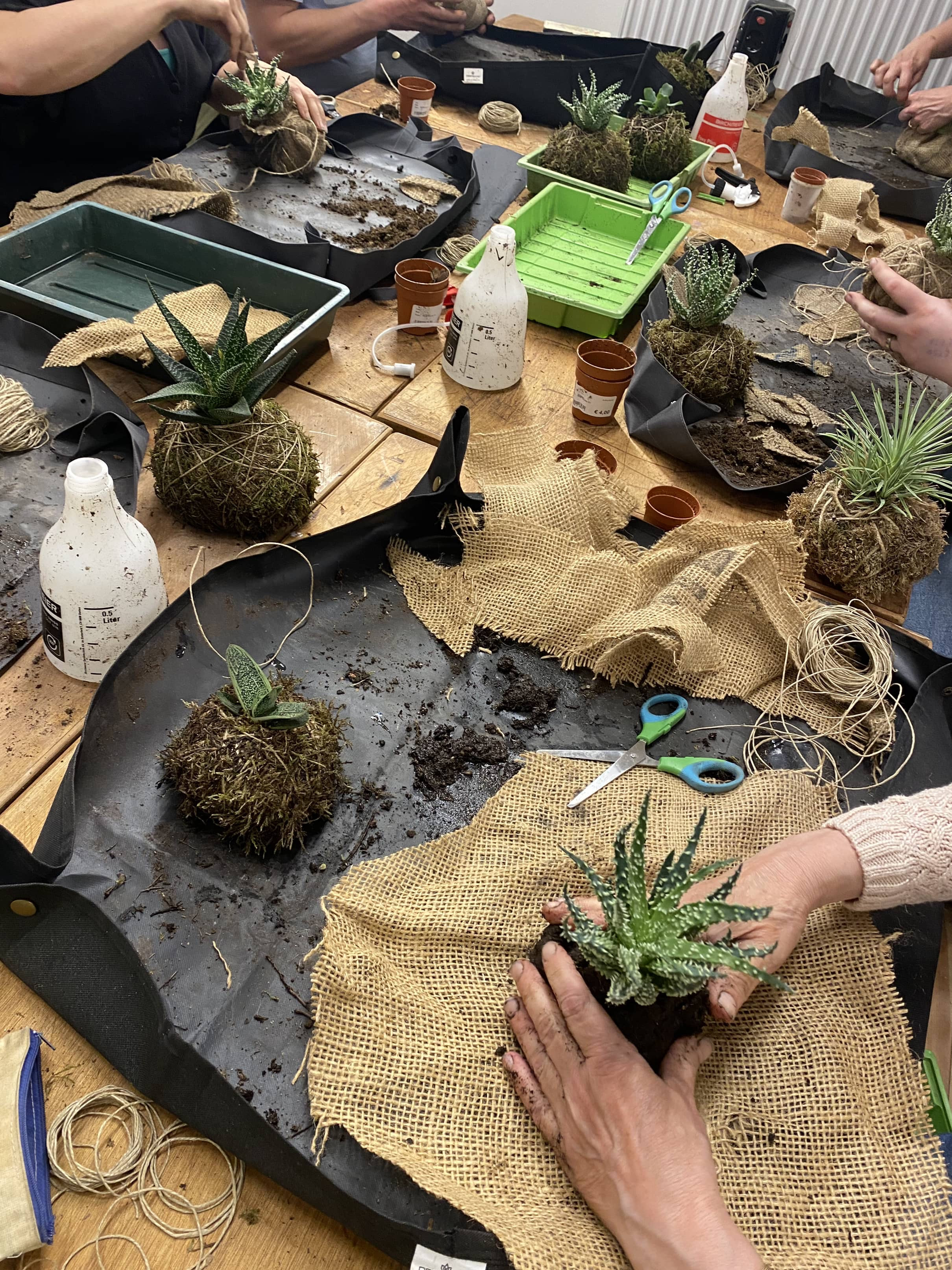 🌿 Kokedama Workshop – Teambuilding Editie - Foto