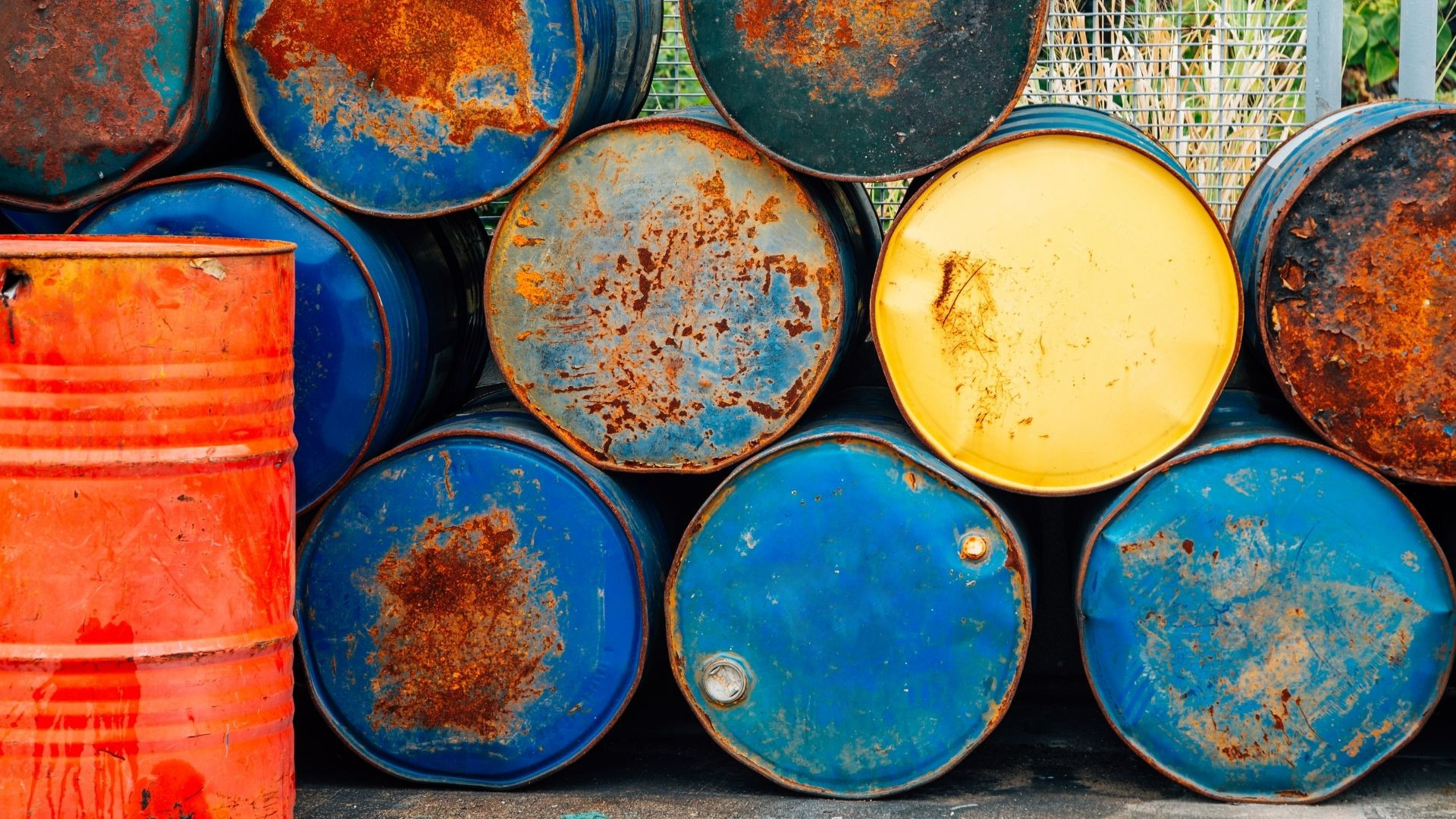 Workshop Drums & Barrels - Caribbean Sound - Foto