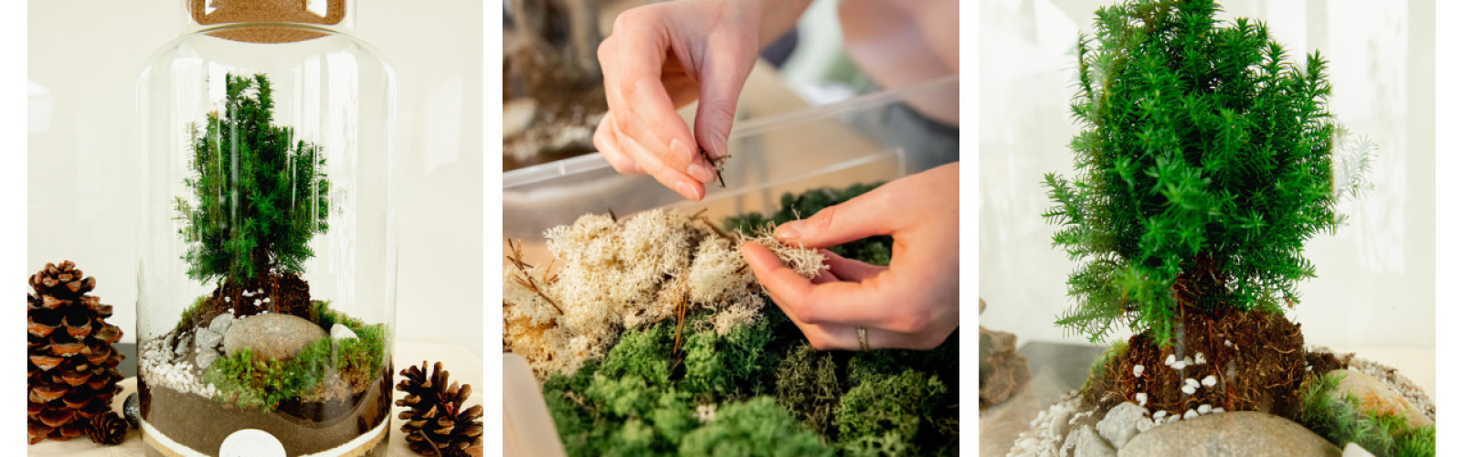 Originele Kerst workshops in 2024 🎄