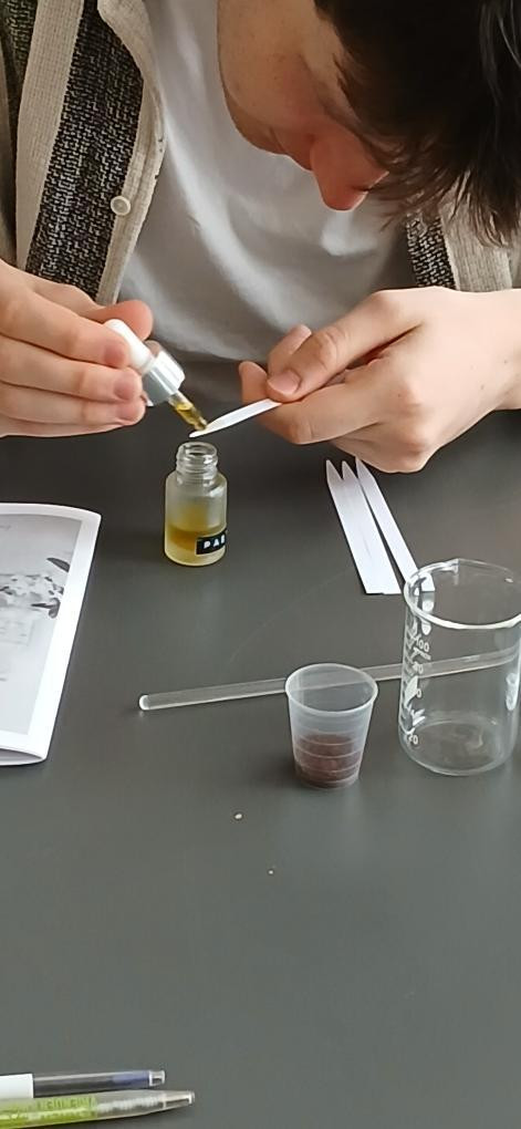 Maak je eigen natuurlijk parfum - Foto