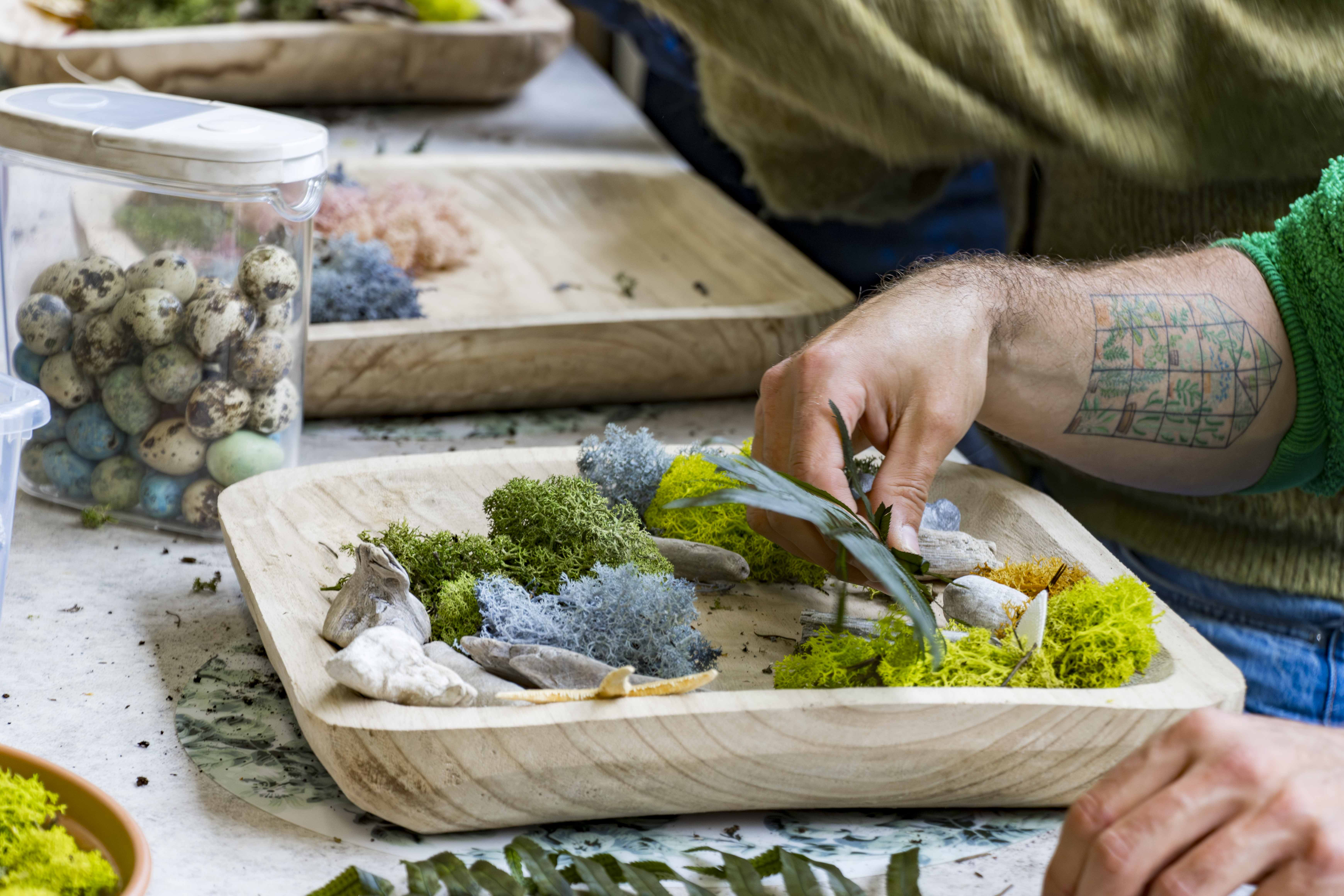 Workshop bouw je eigen moswand 🪴 - Foto