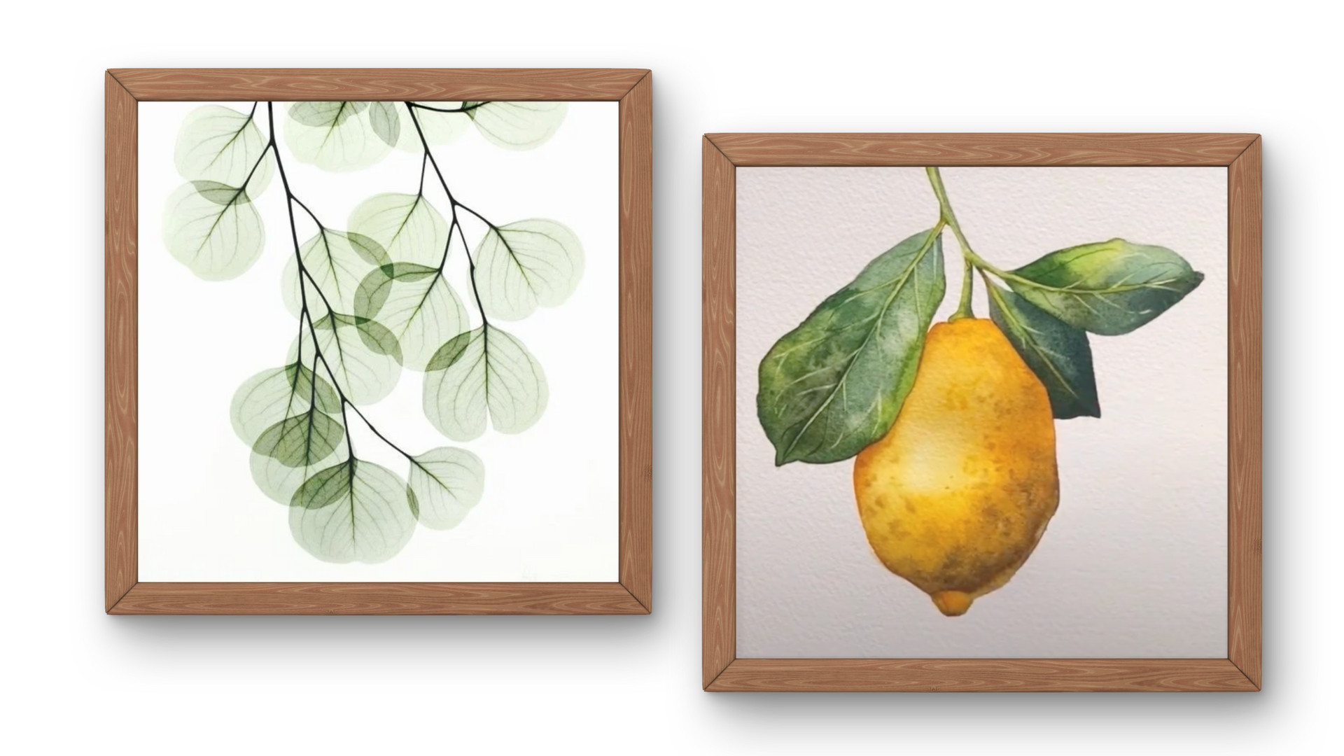 🌿🍋  Botanische illustratie schilderen met aquarel: eucalyptustakje 🌿 of citroen 🍋 - Foto