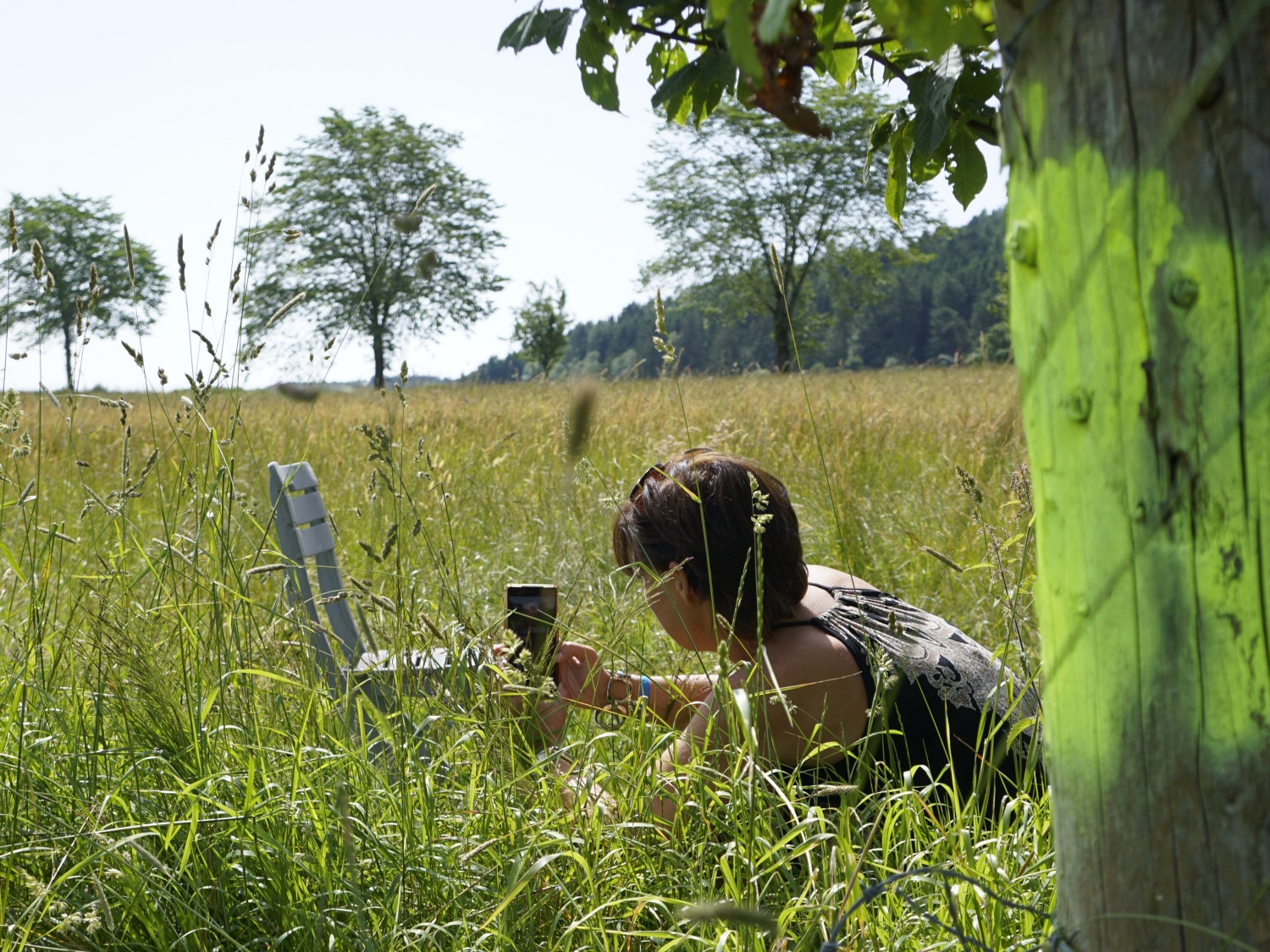 Workshop fotograferen met je mobiel - Foto