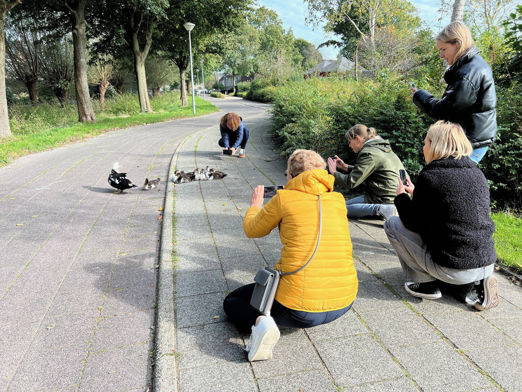 Workshop fotograferen met je mobiel - Foto
