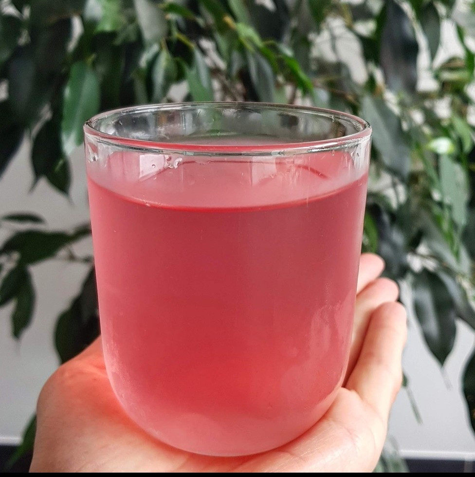 Online Workshop Fermentatie Healthy Drinks - Foto