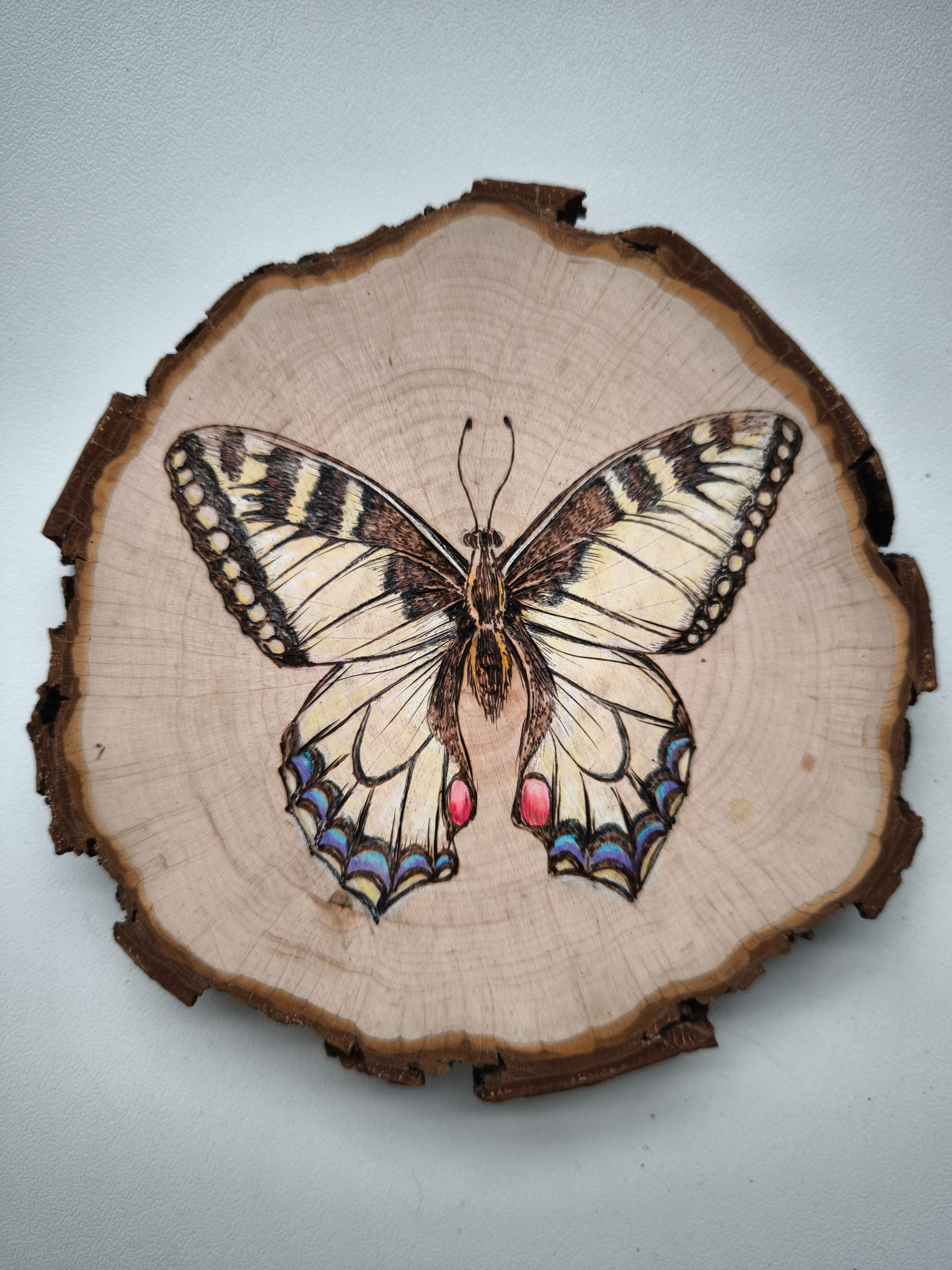 Dagworkshop Houtbranden XL - Foto