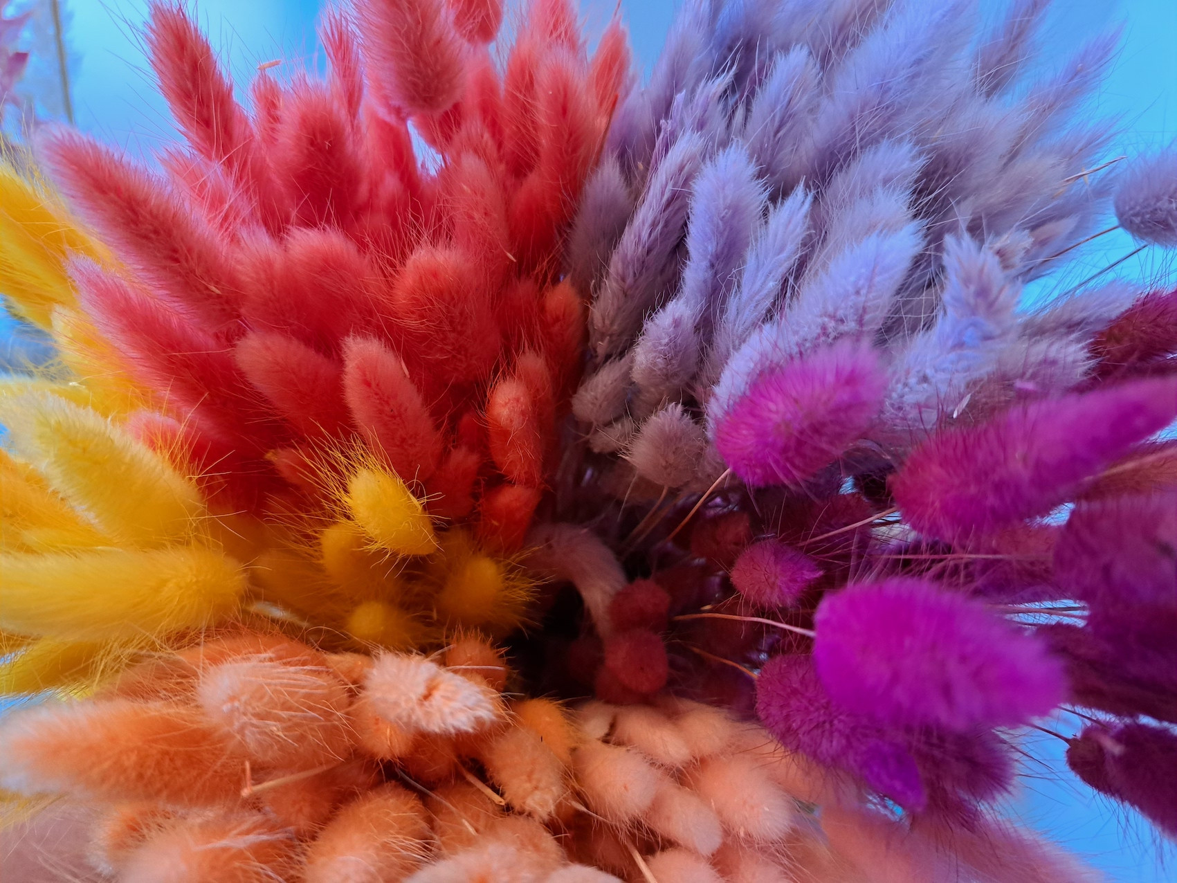 Modern bloemstuk met droogbloemen - Foto