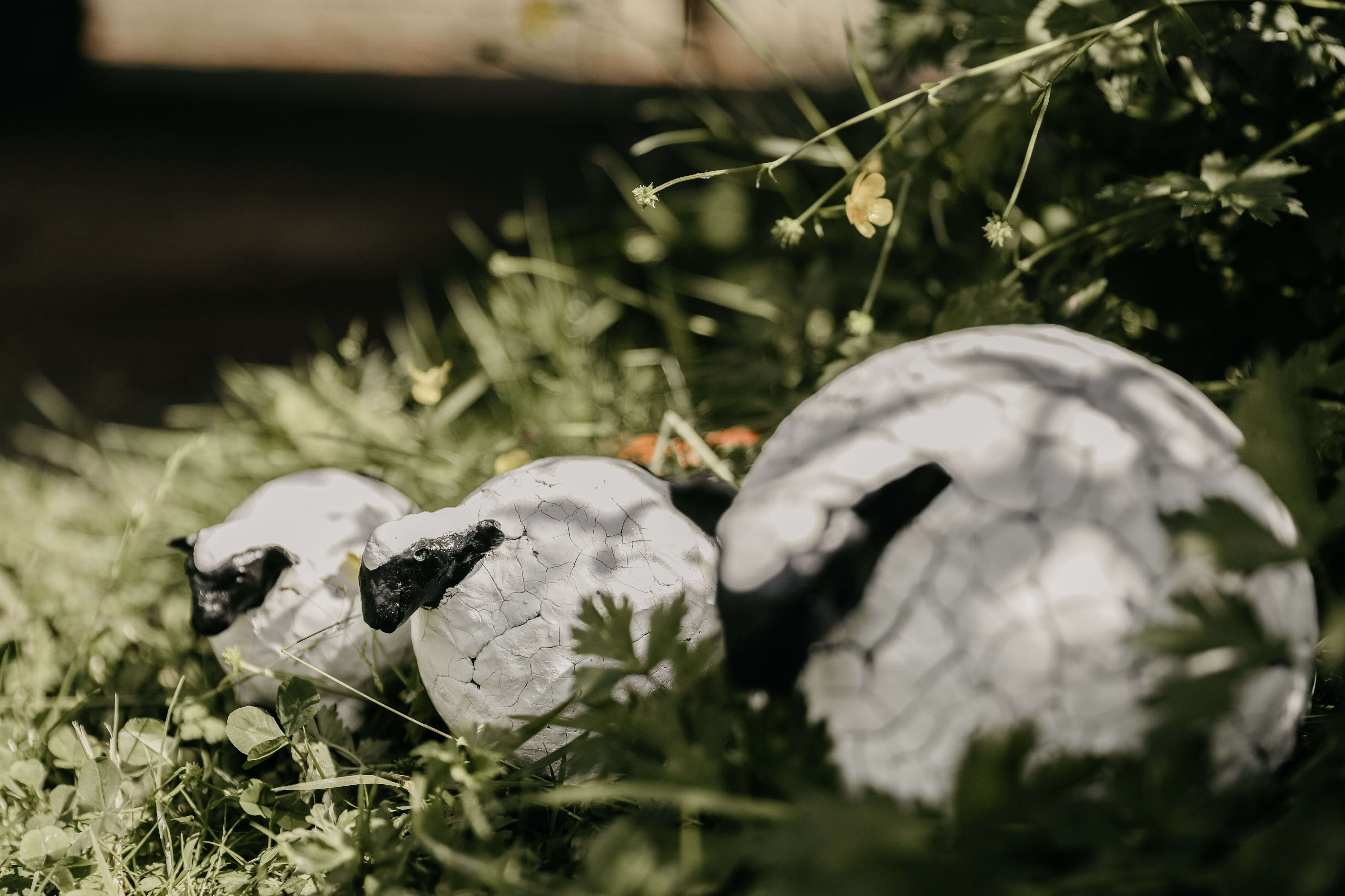DIY Pakket 'schaapjes dikke kontjes' - Foto