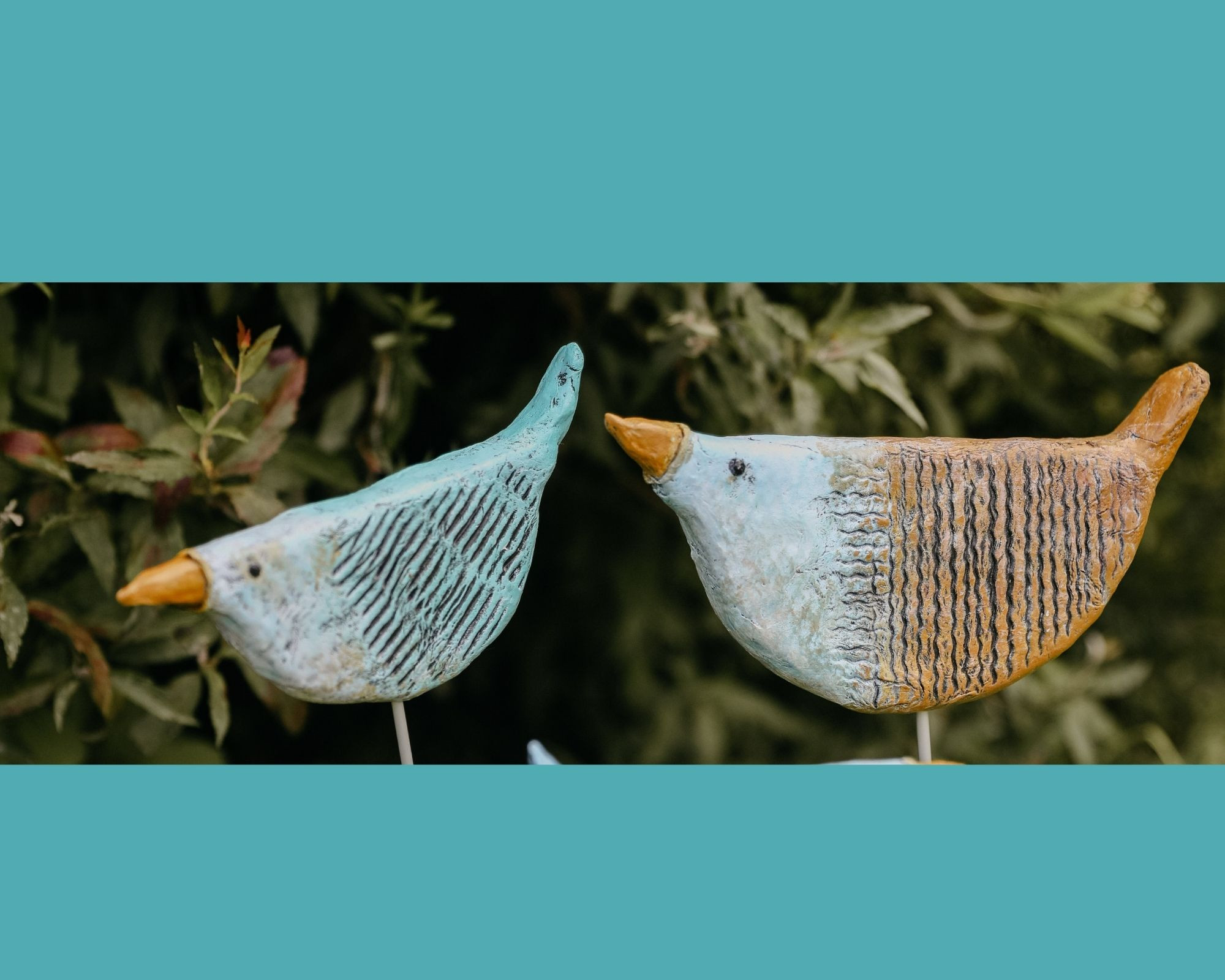 DIY Pakket Geelbekjes - Foto