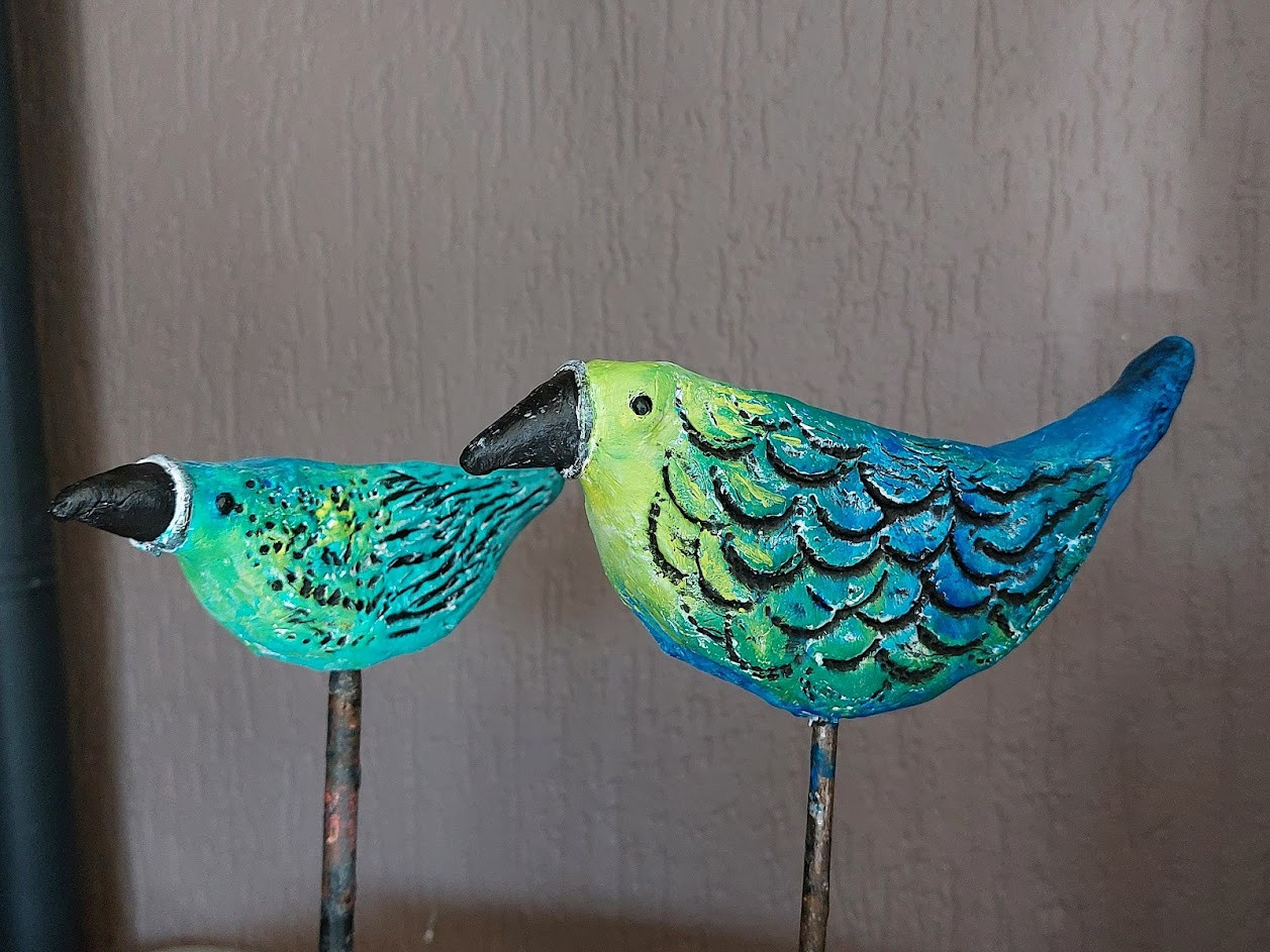 DIY Pakket Geelbekjes - Foto